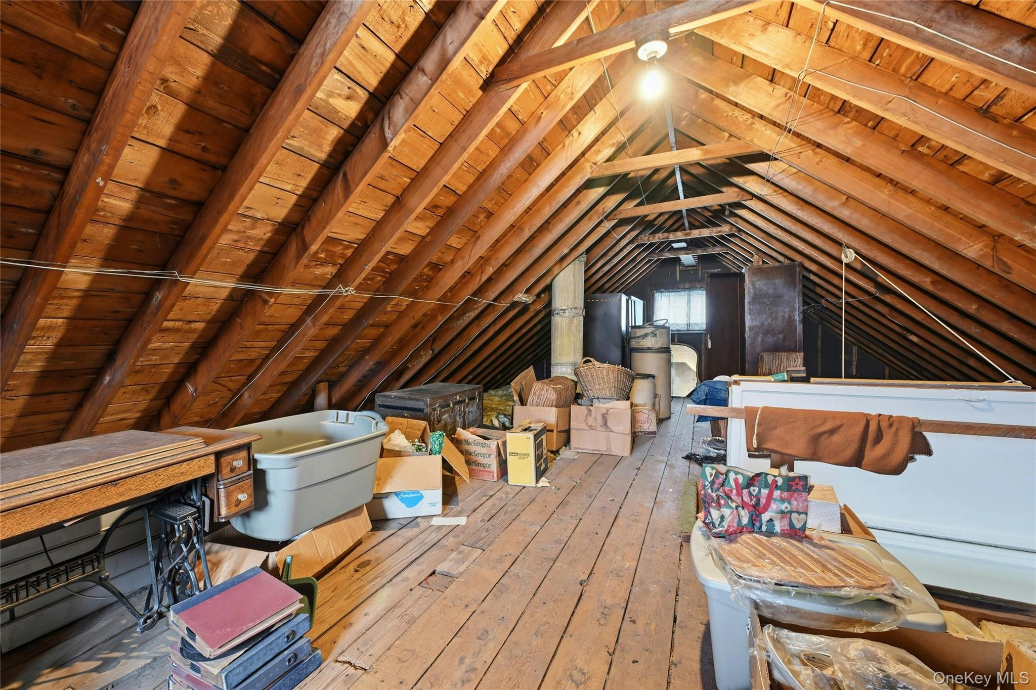 50 Moeller Street Property Photo 14