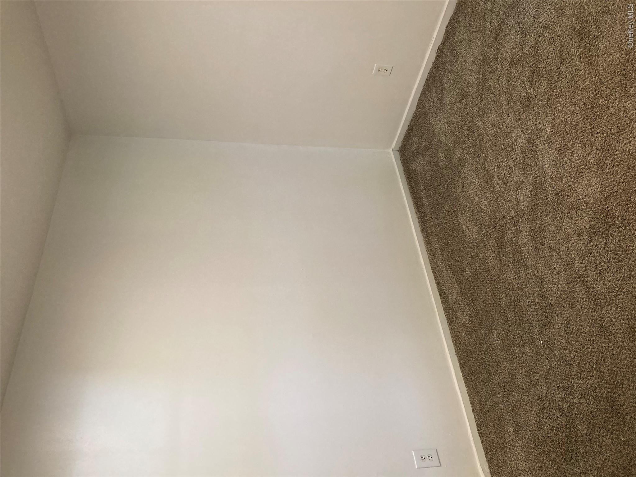 52 Sterling Road Property Photo 23