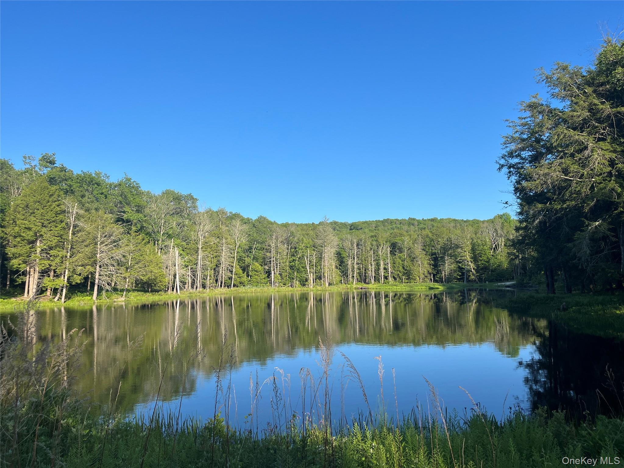 4 Cold Creek Pass Property Photo 4