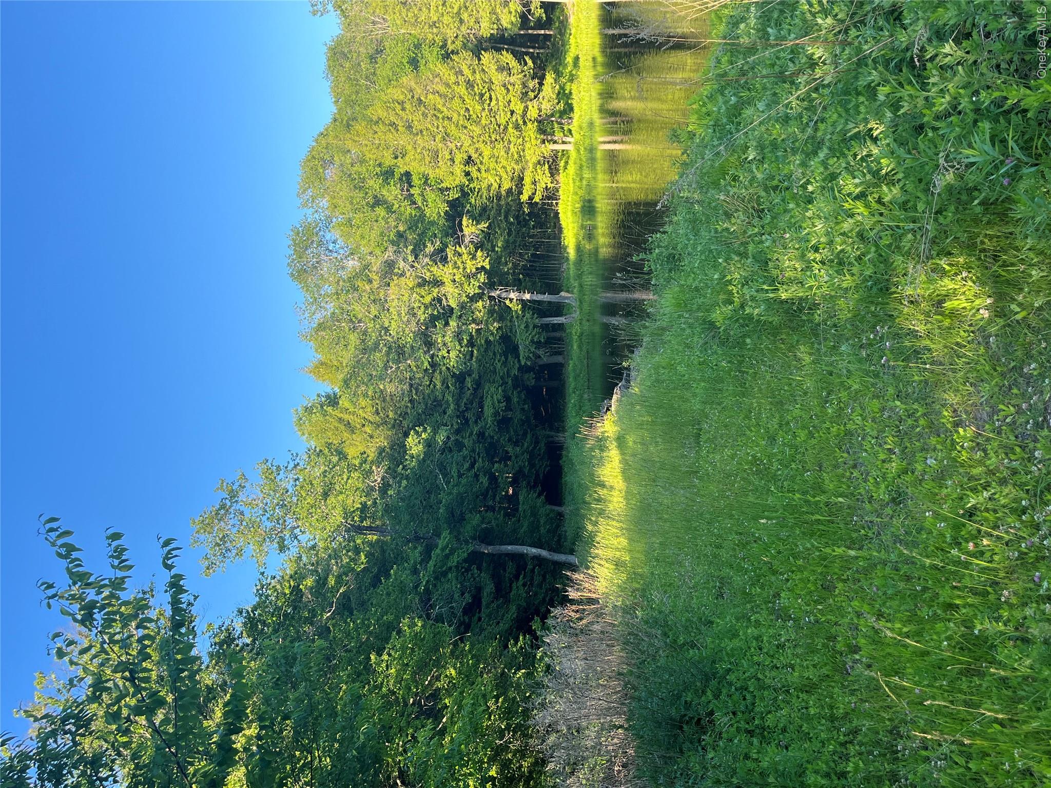 4 Cold Creek Pass Property Photo 5