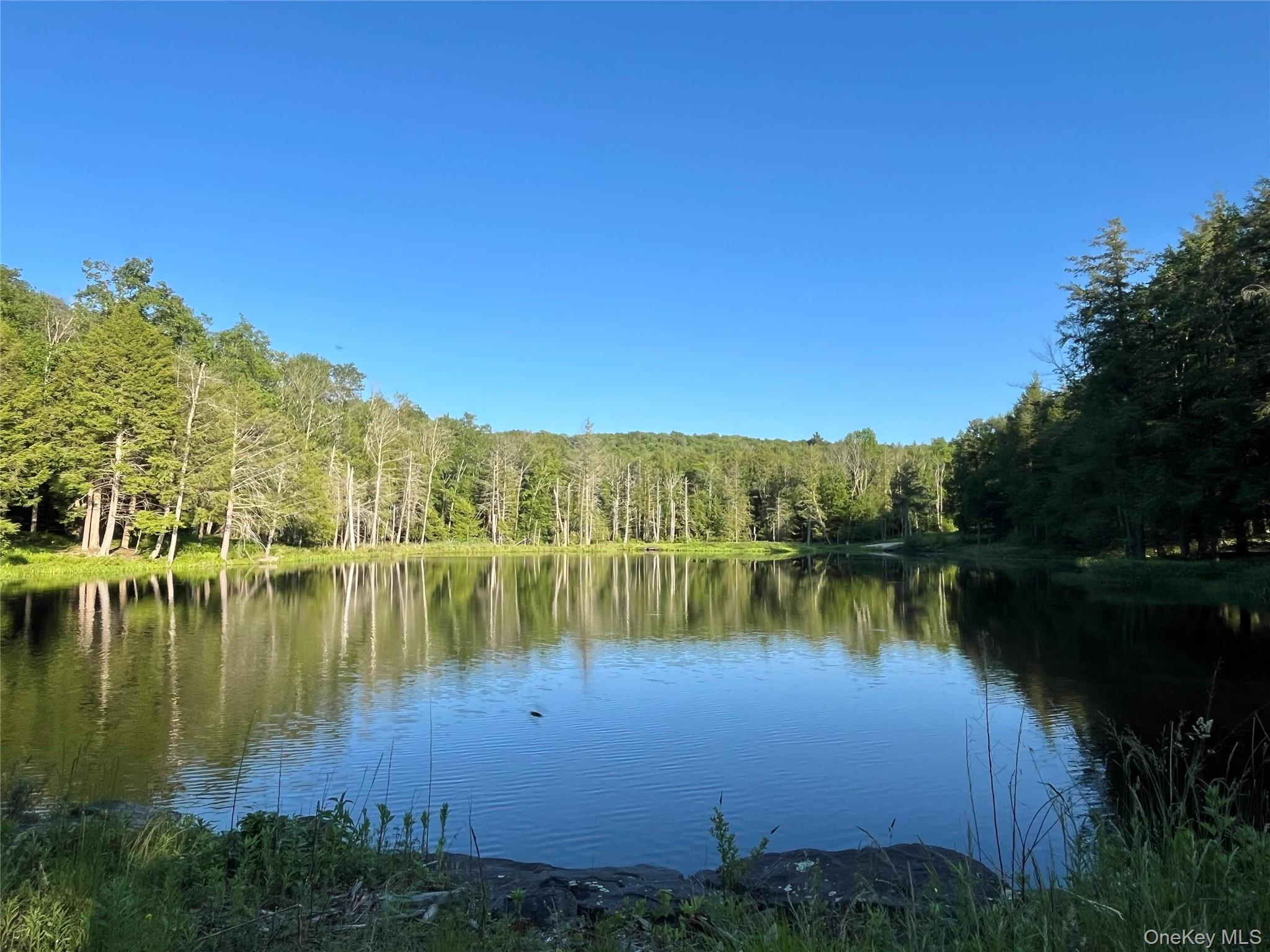 4 Cold Creek Pass Property Photo 6