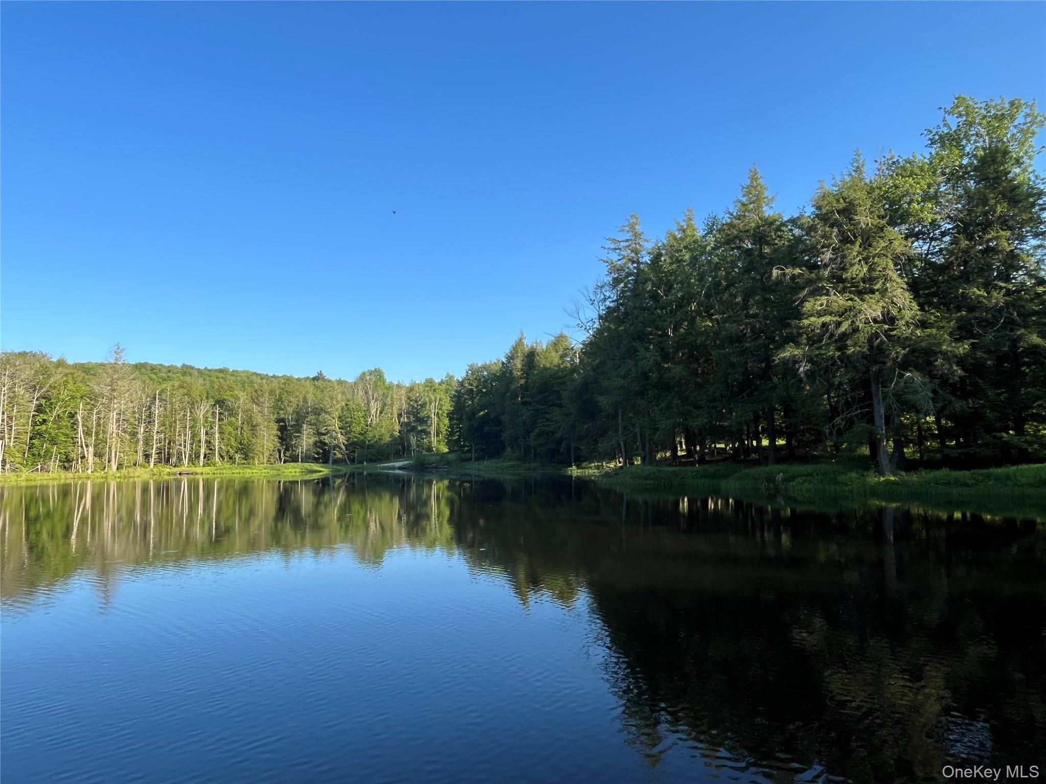4 Cold Creek Pass Property Photo 8