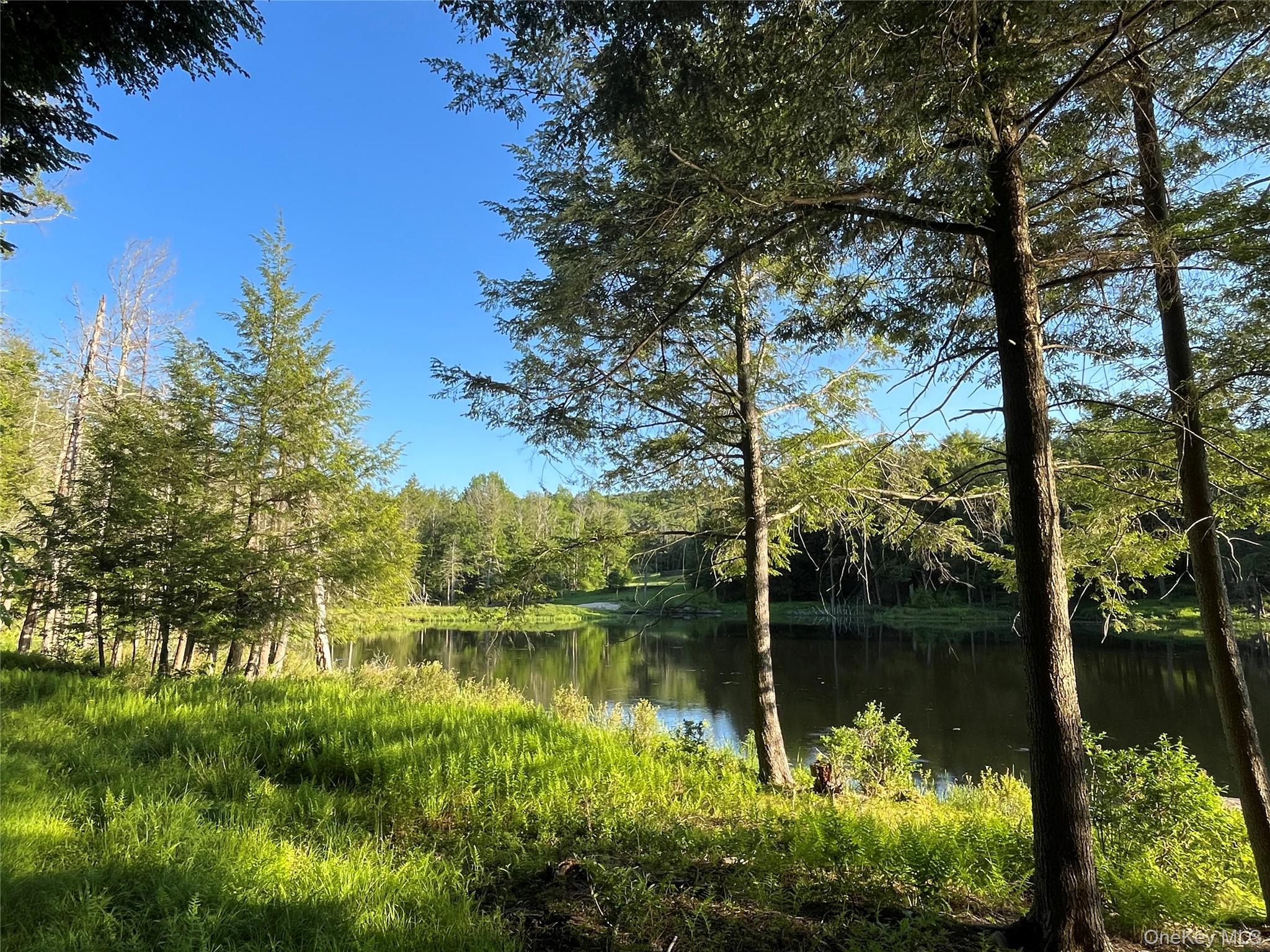 4 Cold Creek Pass Property Photo 13