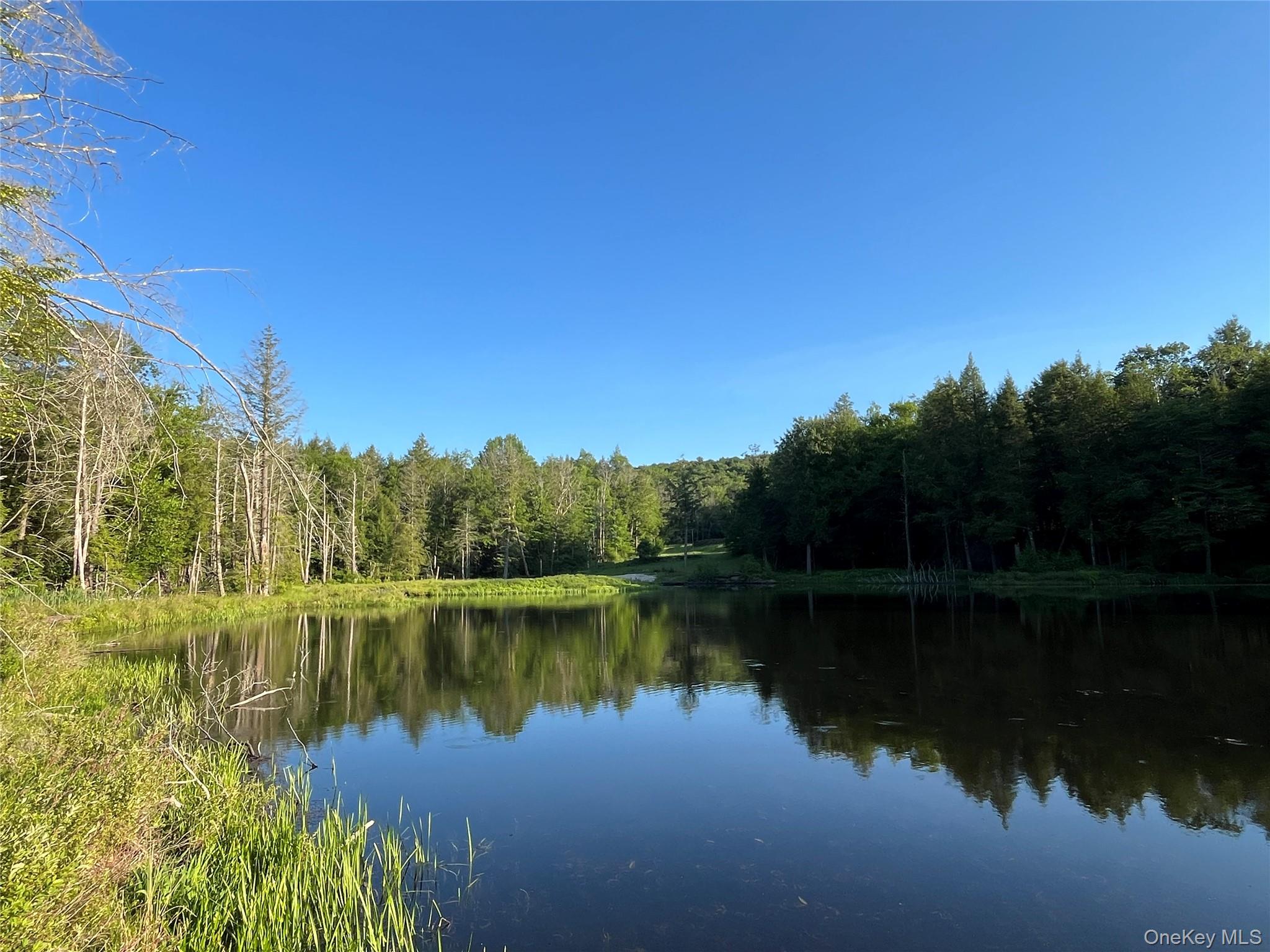 4 Cold Creek Pass Property Photo 14