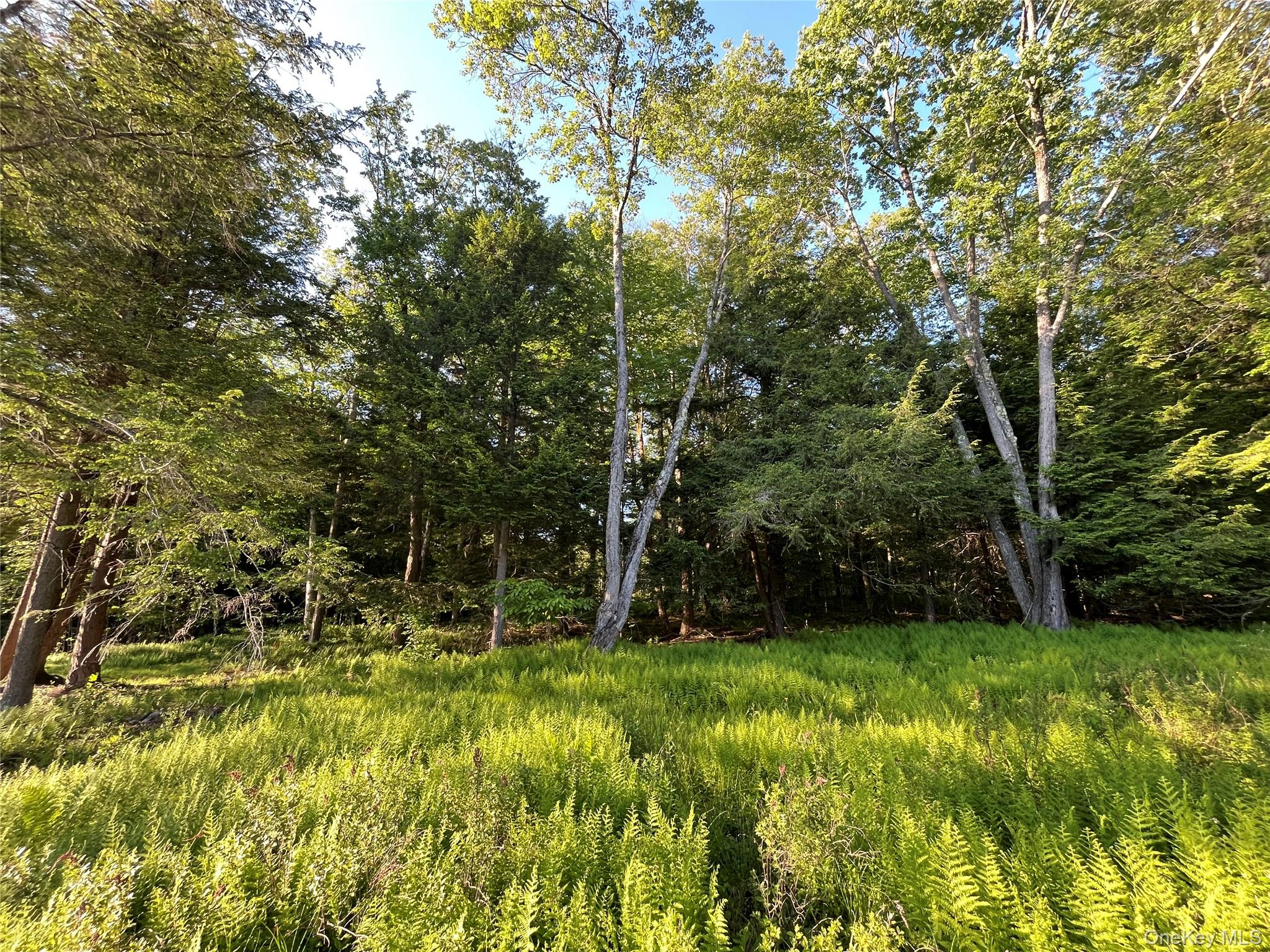 4 Cold Creek Pass Property Photo 15