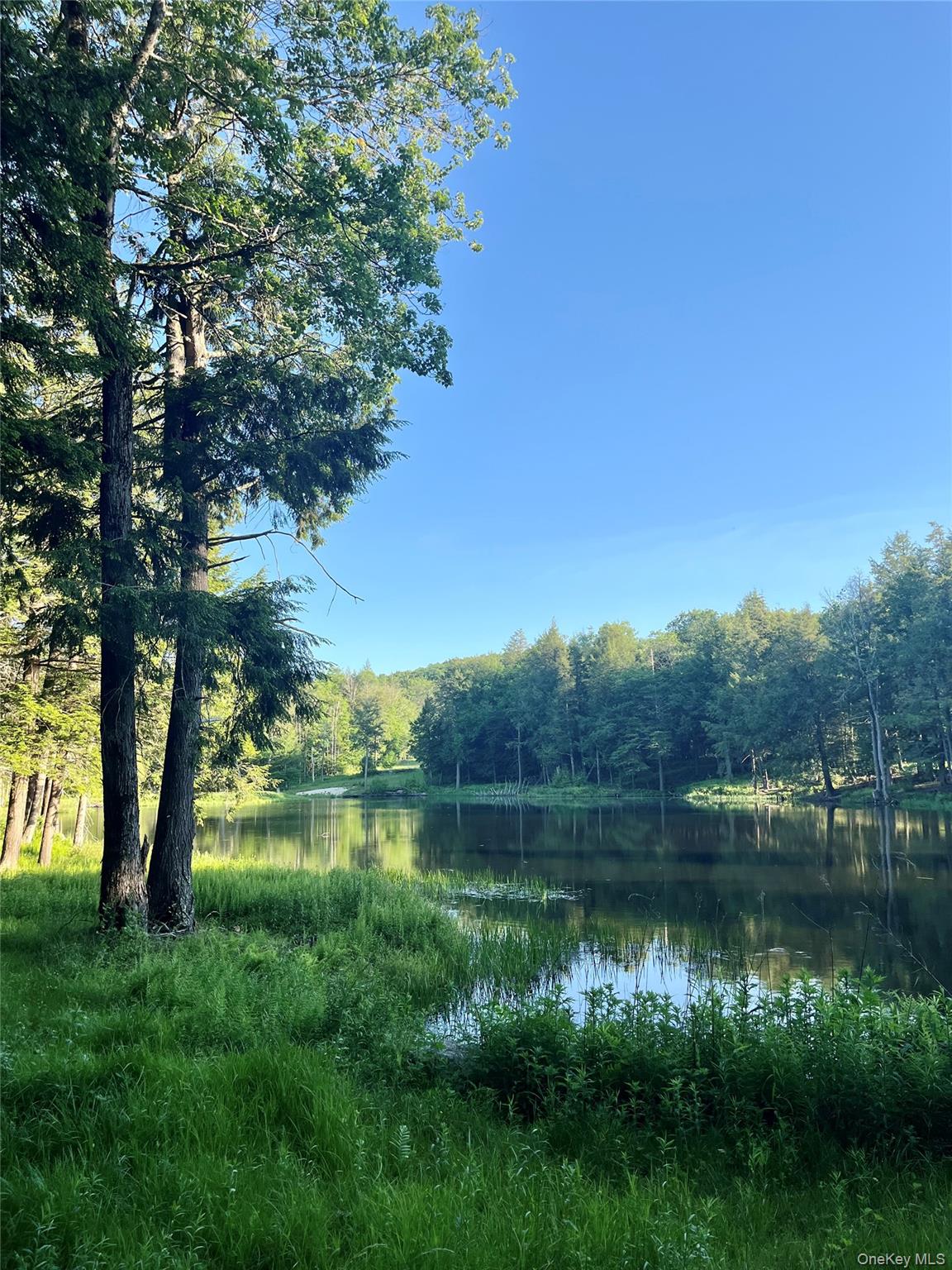 4 Cold Creek Pass Property Photo 17
