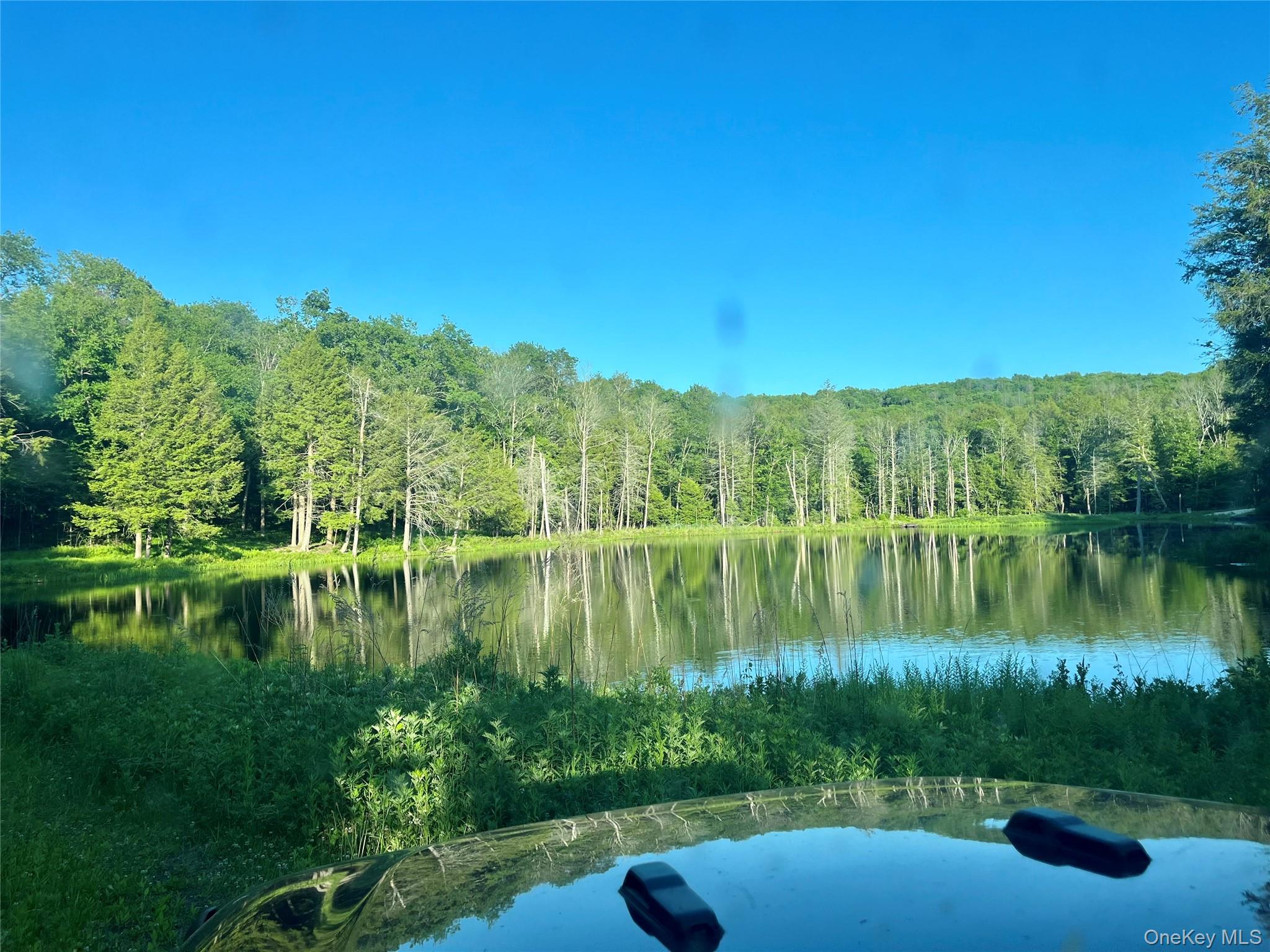 4 Cold Creek Pass Property Photo 19