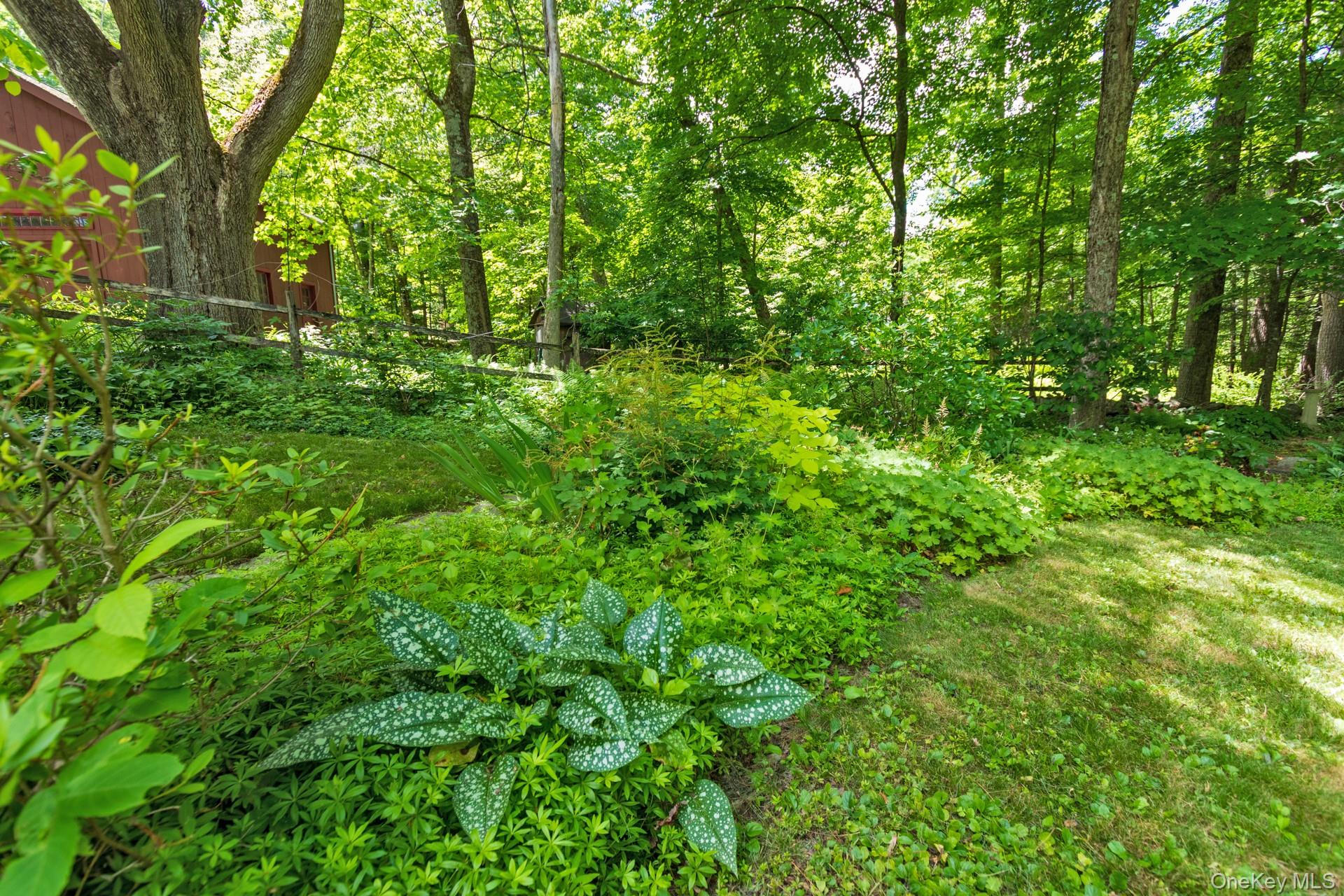 43 Krom Road Property Photo 7