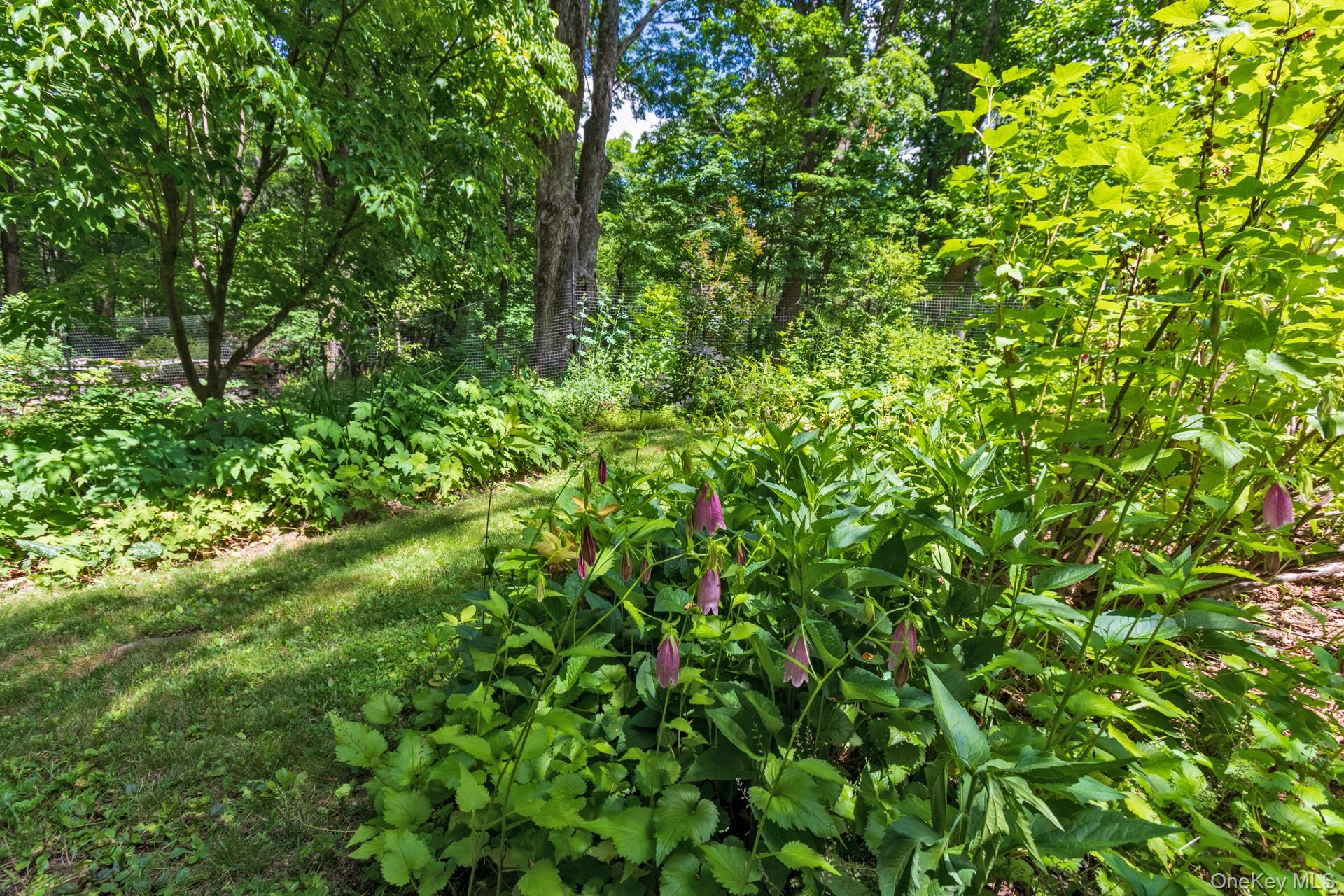 43 Krom Road Property Photo 27