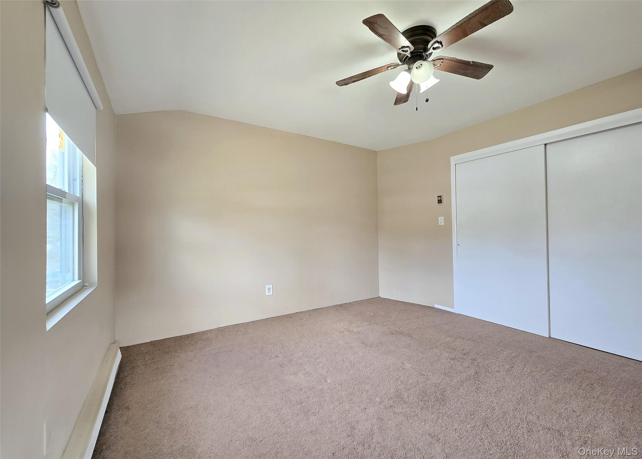 18 Wyandotte Street Property Photo 8