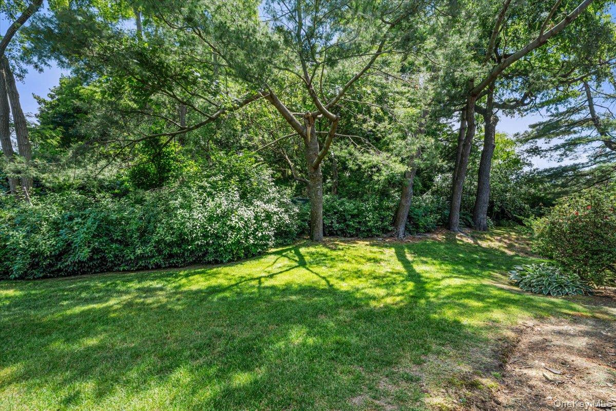 2 Maple Run Drive Property Photo 22