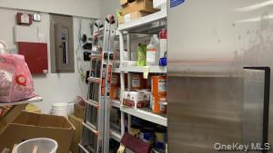 43 Violet Avenue Property Photo 8