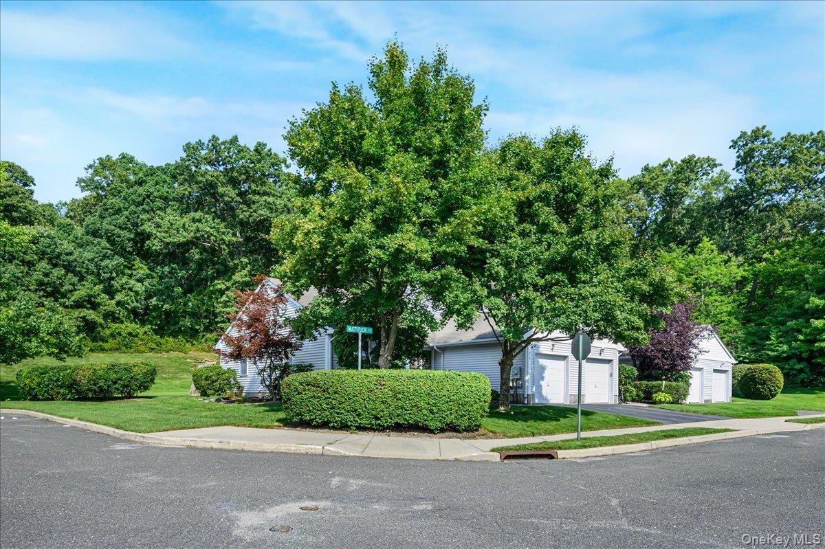 204 Mattituck Court Property Photo 6