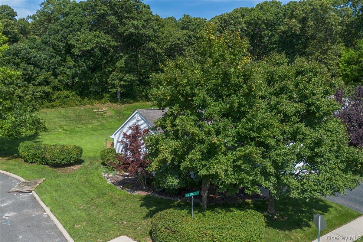 204 Mattituck Court Property Photo 22