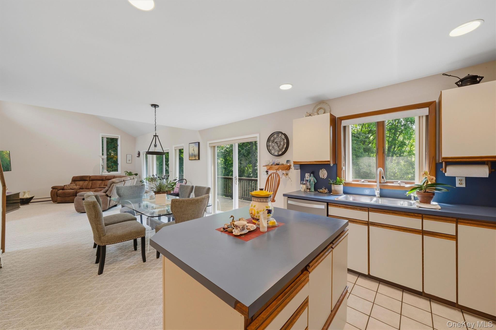 842 Route 284 Property Photo 16