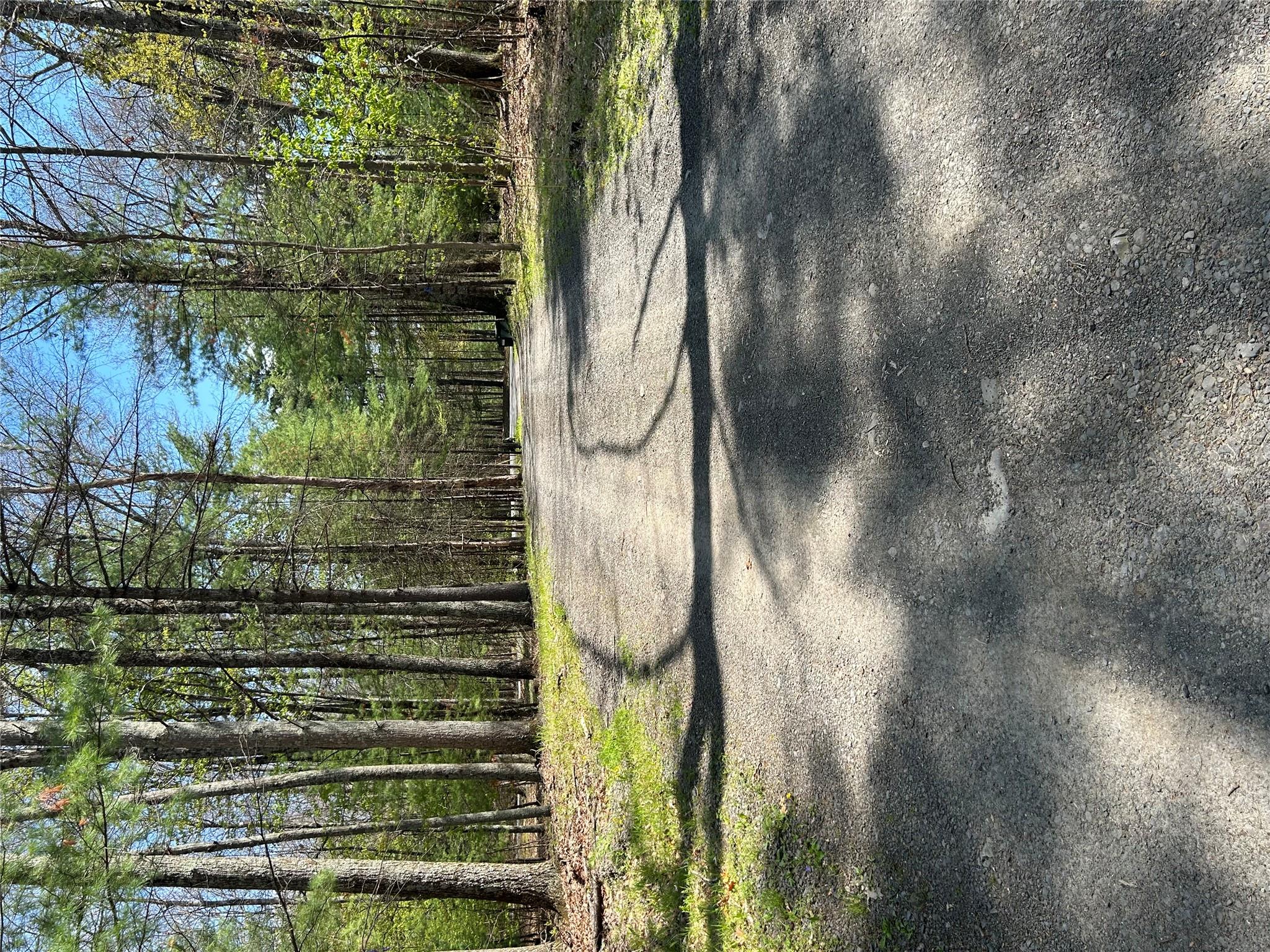 22 Pine Castle Drive Property Photo 9
