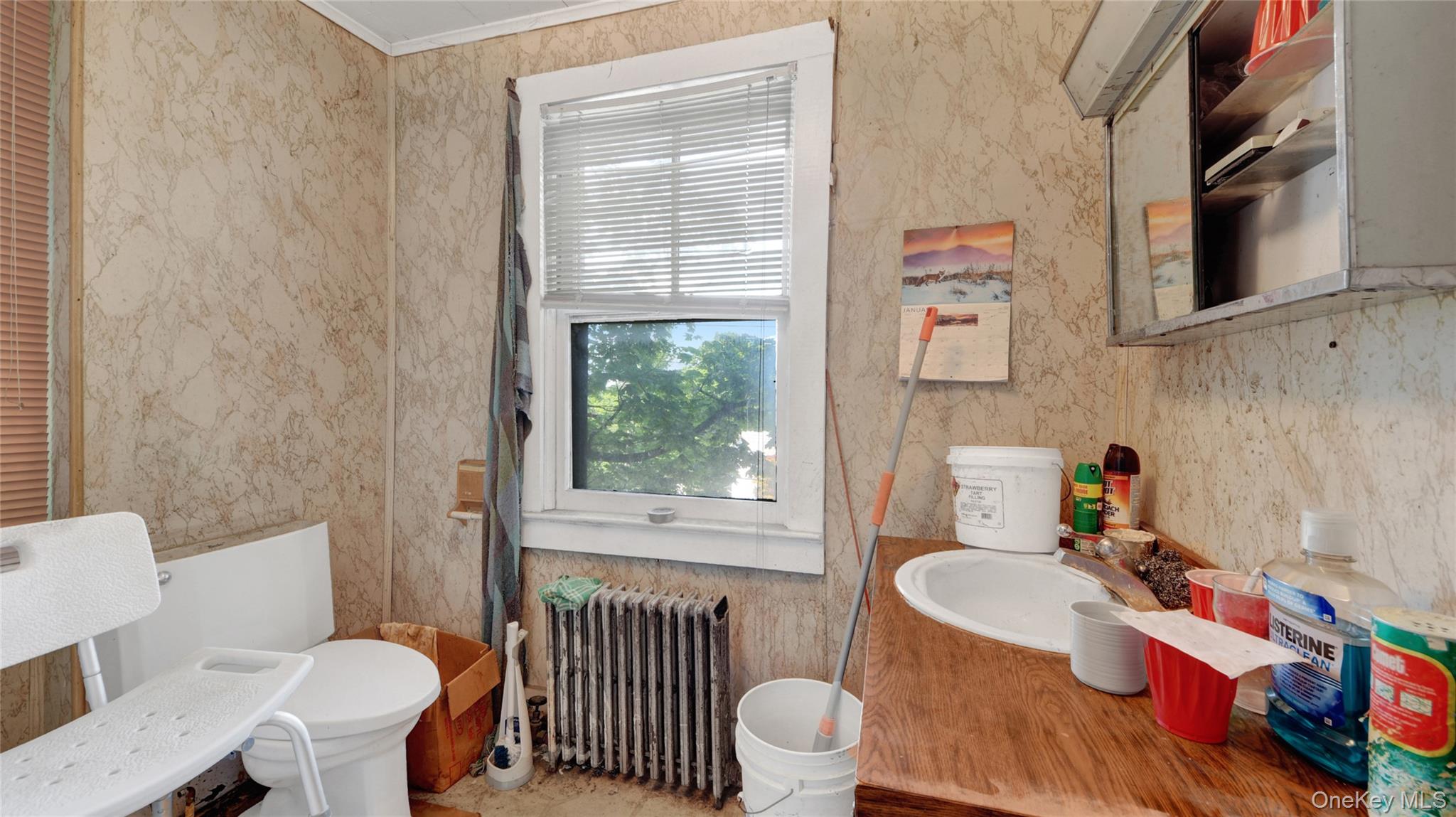 126 Croton Avenue Property Photo 8