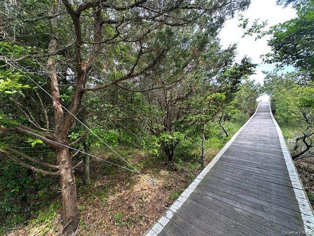 54a Lewis Walk Property Photo 2