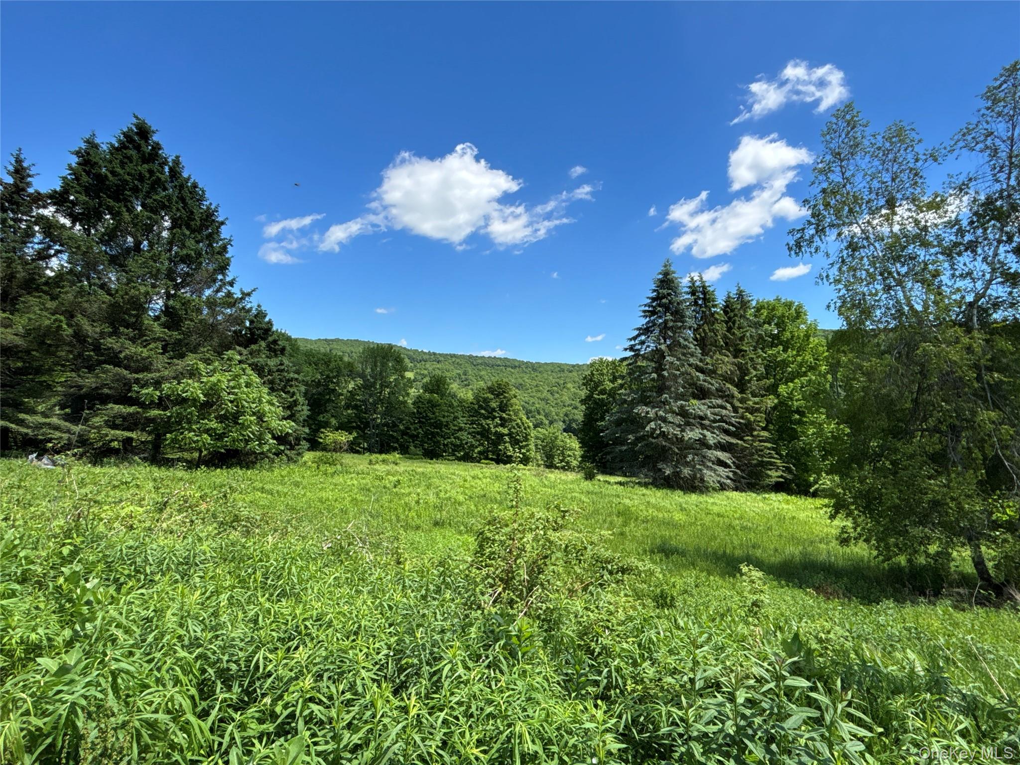 2613 Murphy Hill Road Property Photo 22