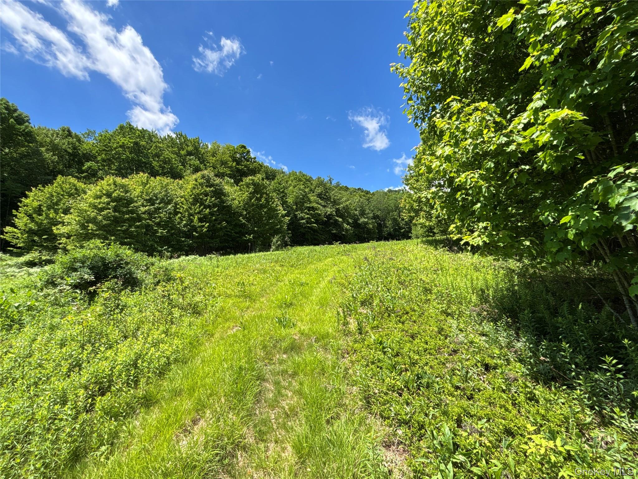 2613 Murphy Hill Road Property Photo 23