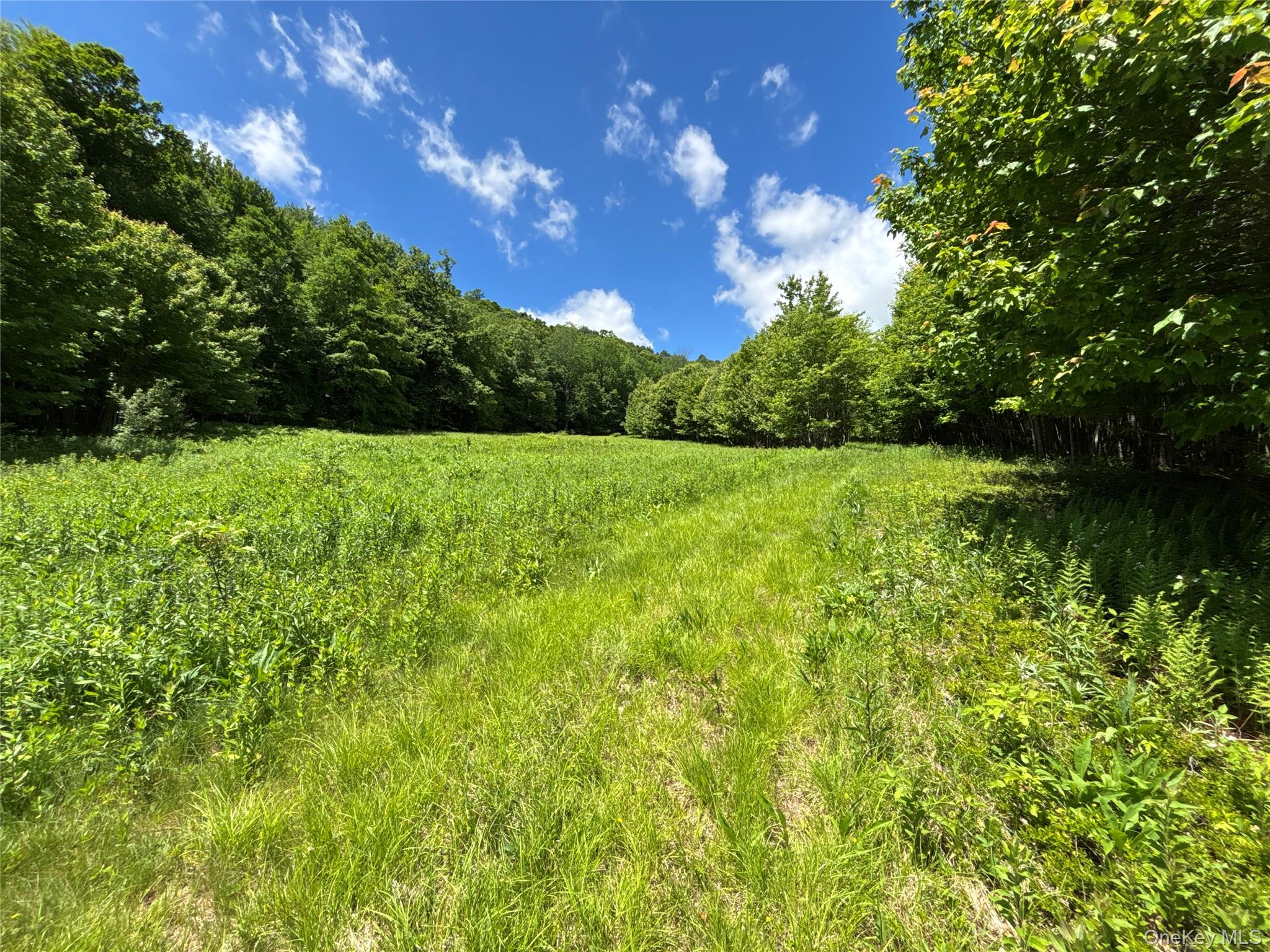 2613 Murphy Hill Road Property Photo 27