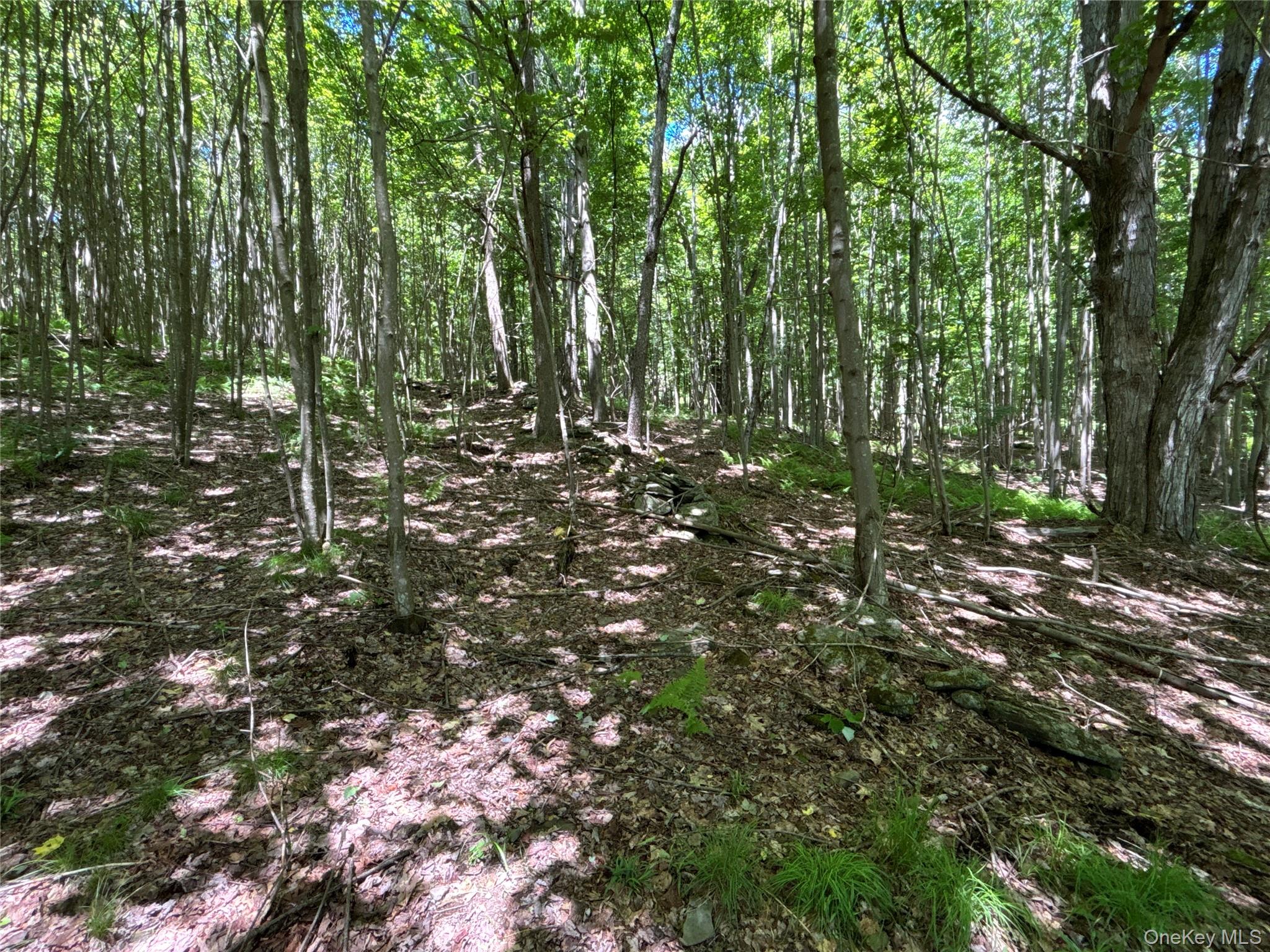 2613 Murphy Hill Road Property Photo 29