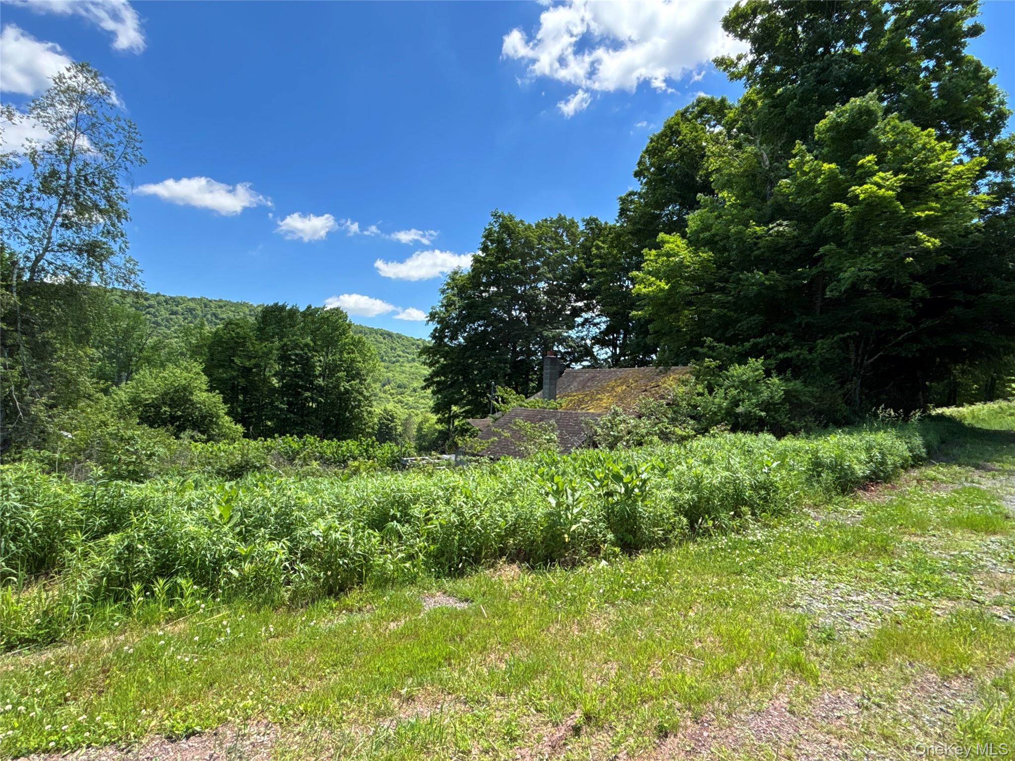 2613 Murphy Hill Road Property Photo 31