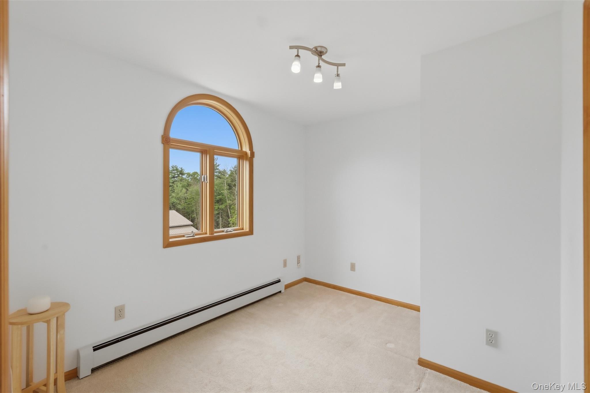 515 Samsonville Road Property Photo 21