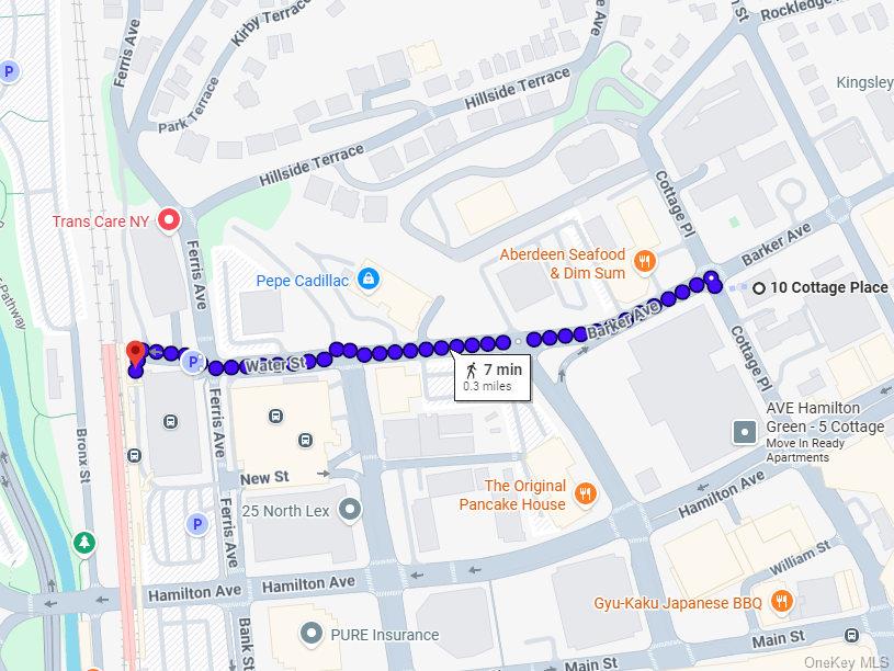 10 Cottage Place 2e Property Photo 23
