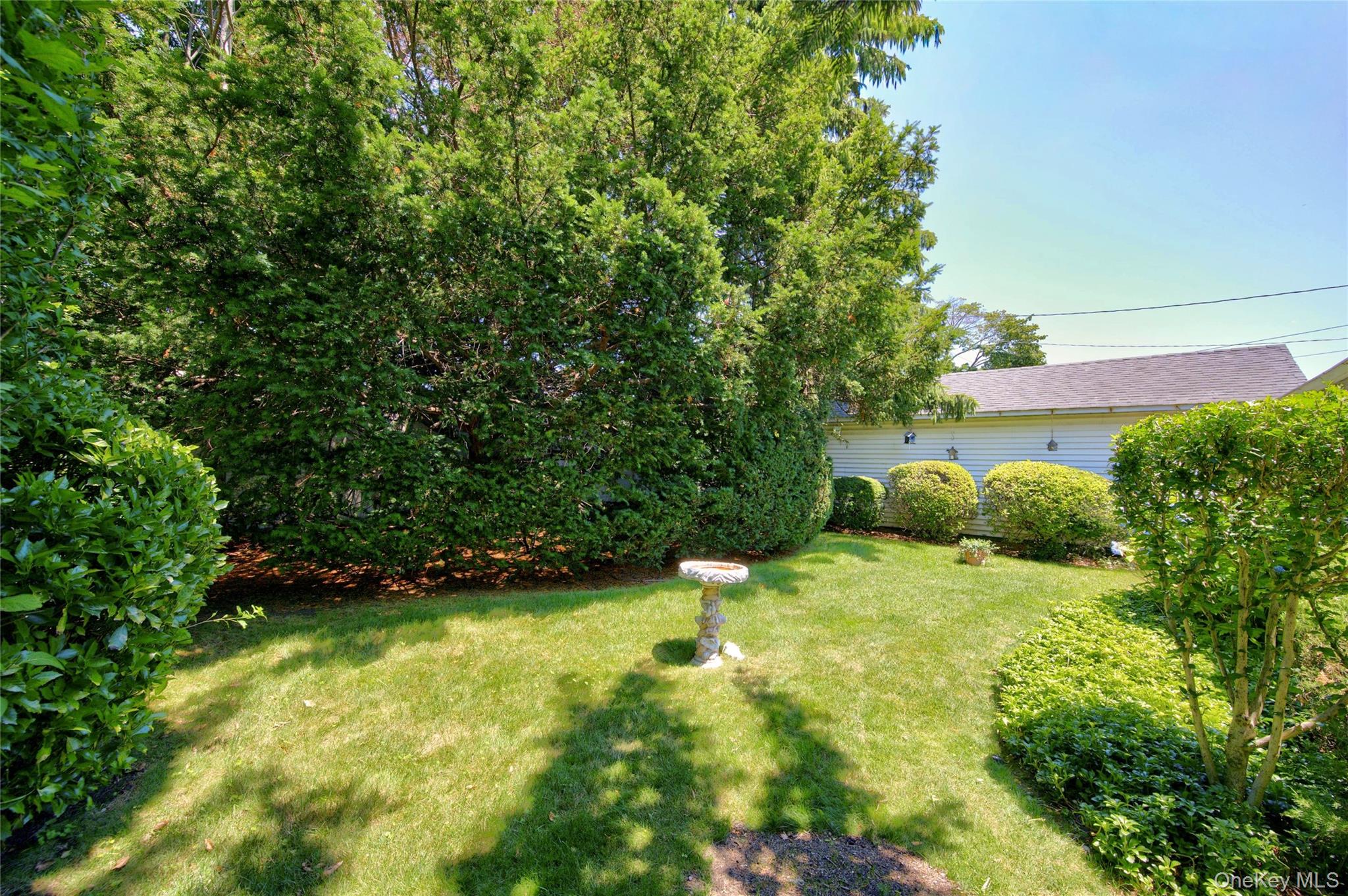 41 Elwood Avenue Property Photo 19