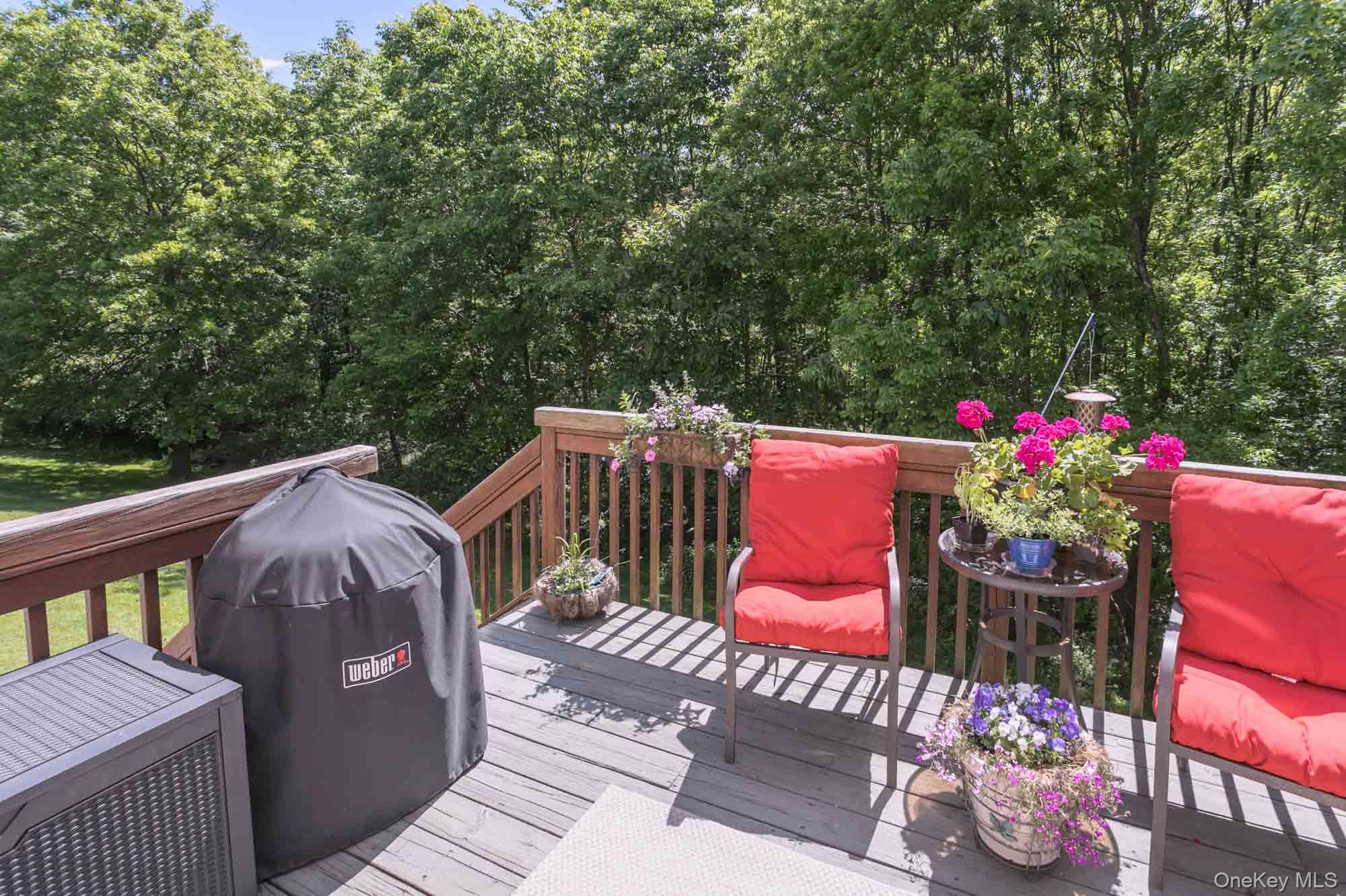 860 Route 284 Property Photo 20