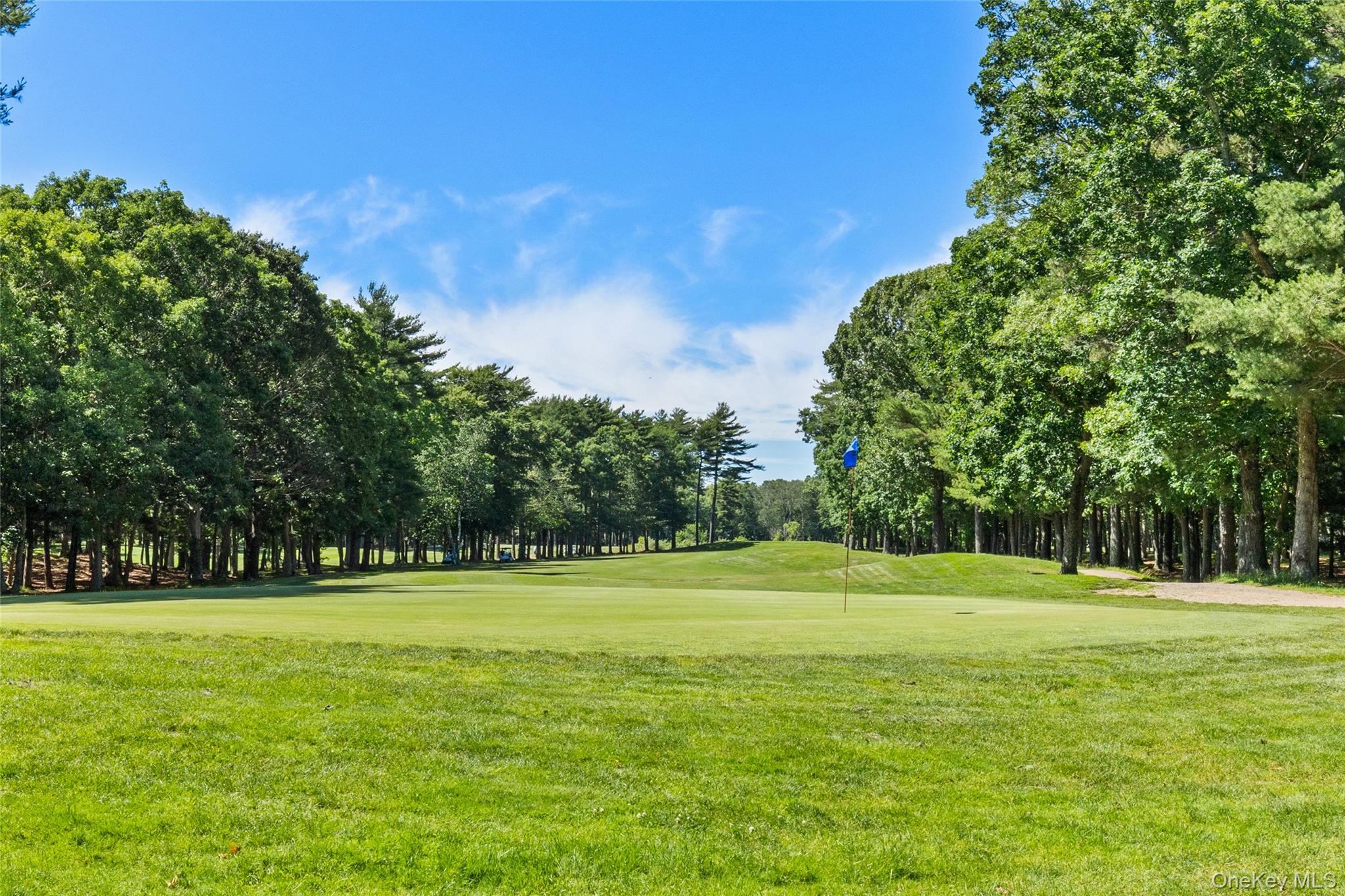 2803 Pebble Beach Path Property Photo 20