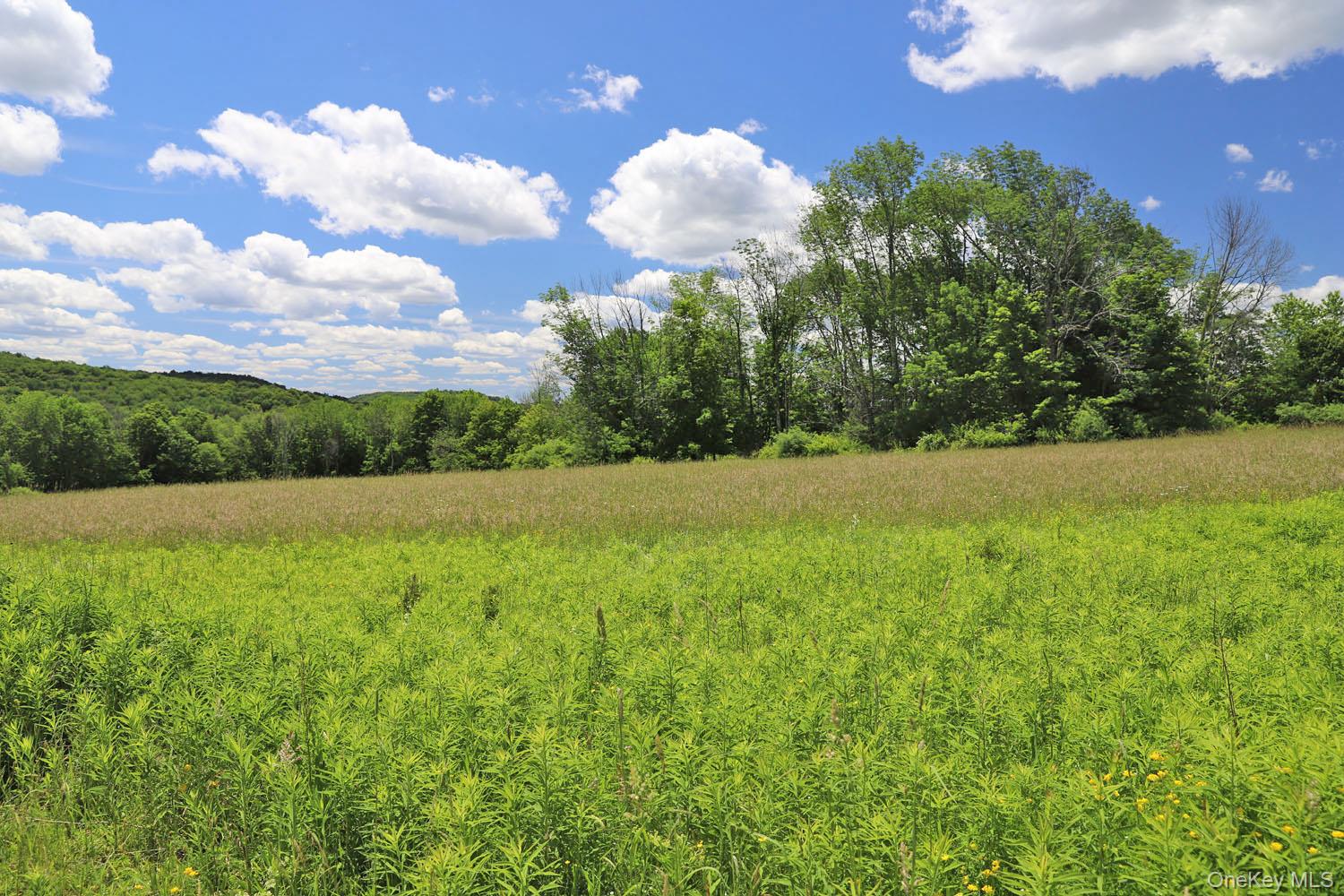 Dietz Road Property Photo 6