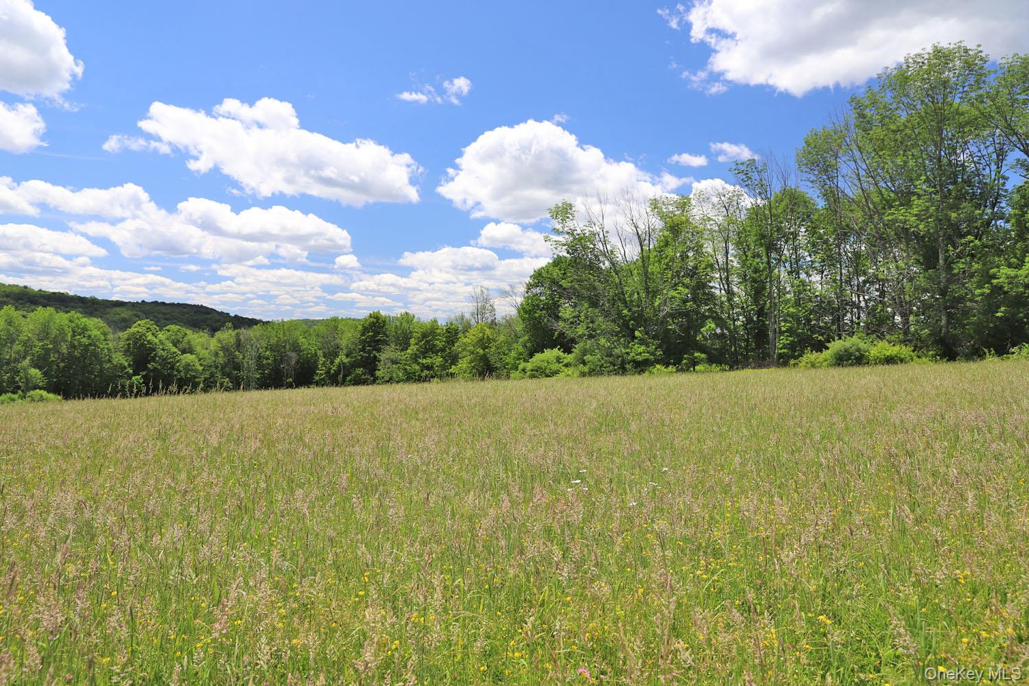 Dietz Road Property Photo 10