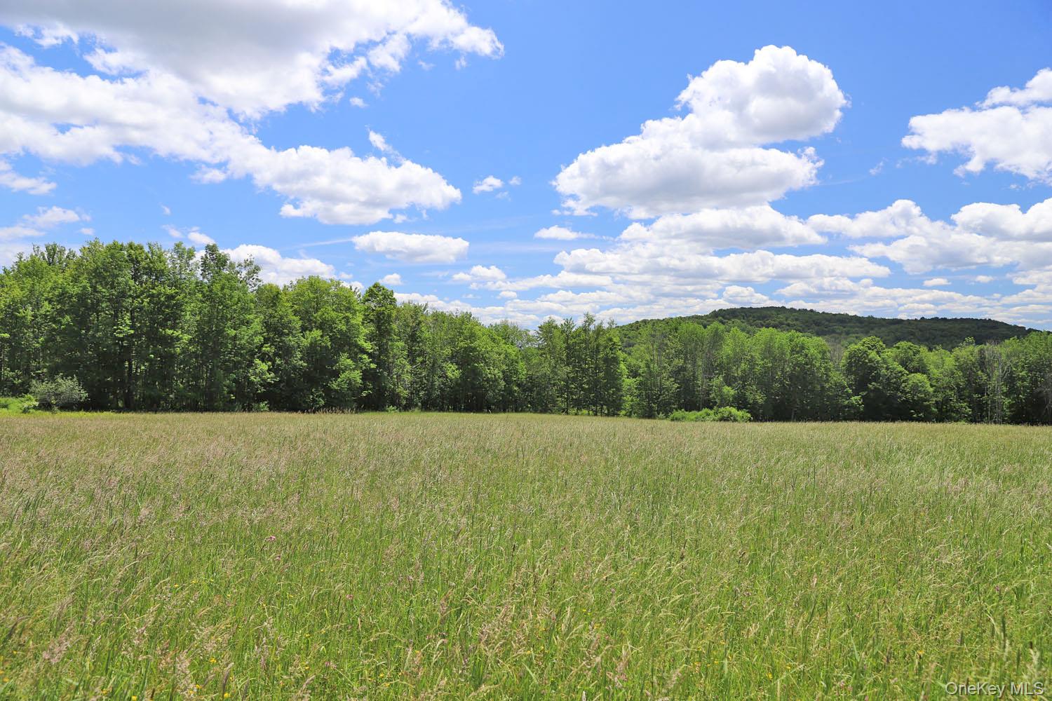 Dietz Road Property Photo 12