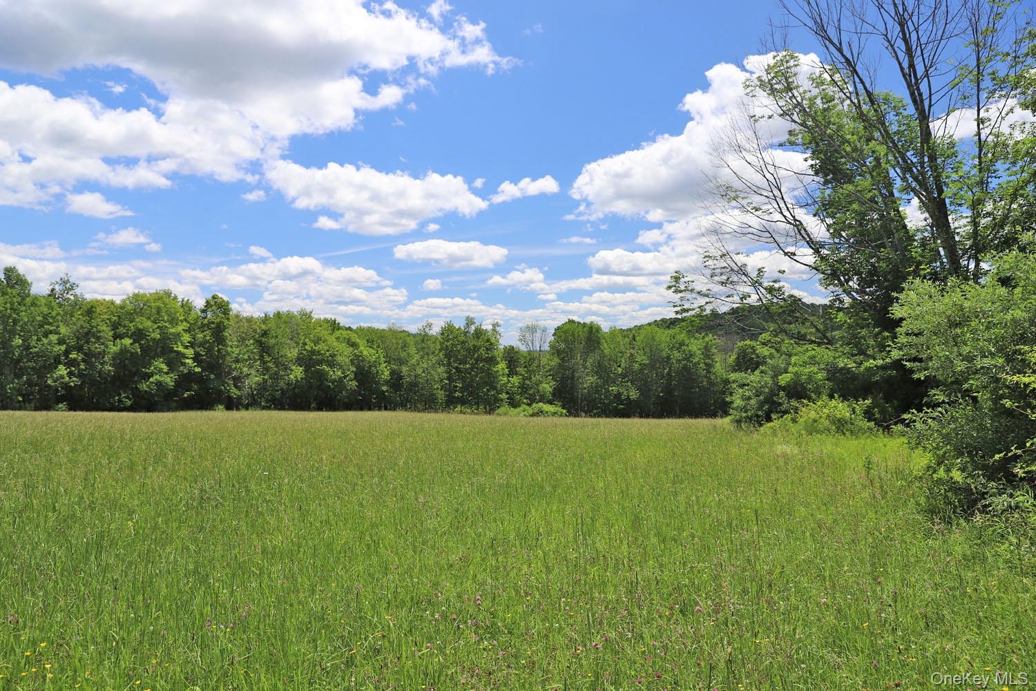 Dietz Road Property Photo 13