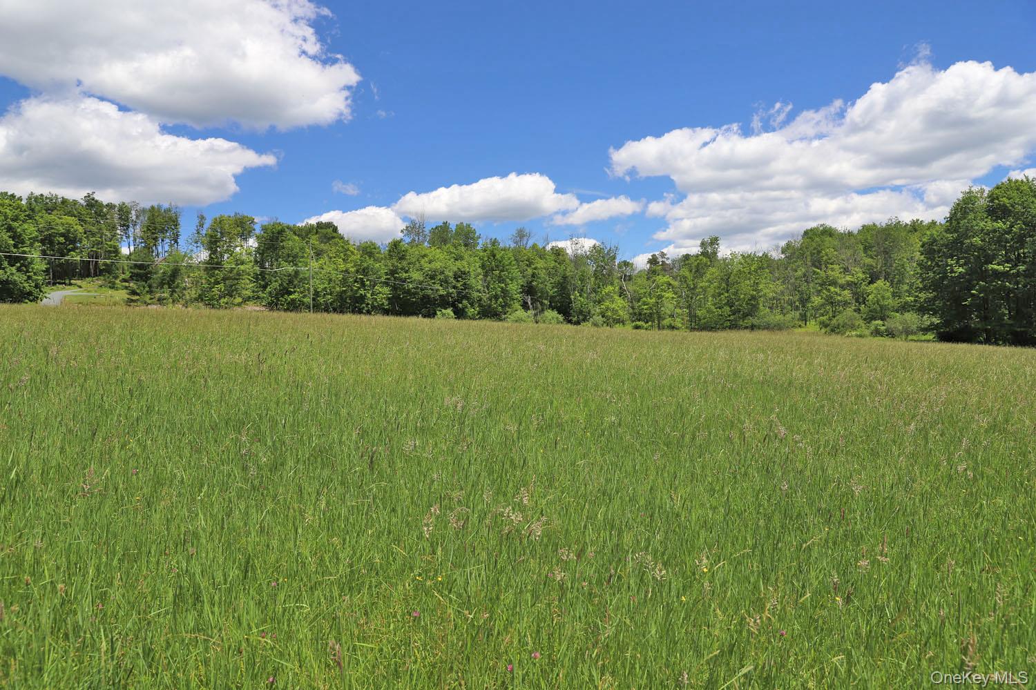 Dietz Road Property Photo 14