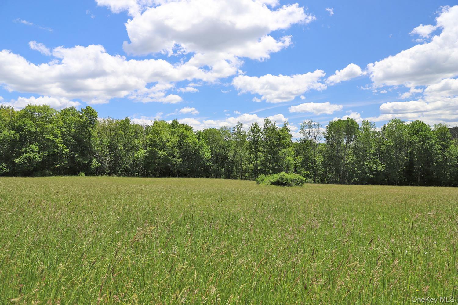 Dietz Road Property Photo 15