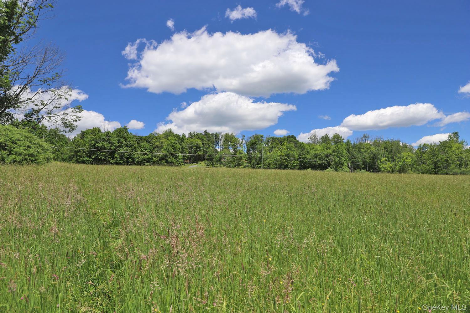 Dietz Road Property Photo 16