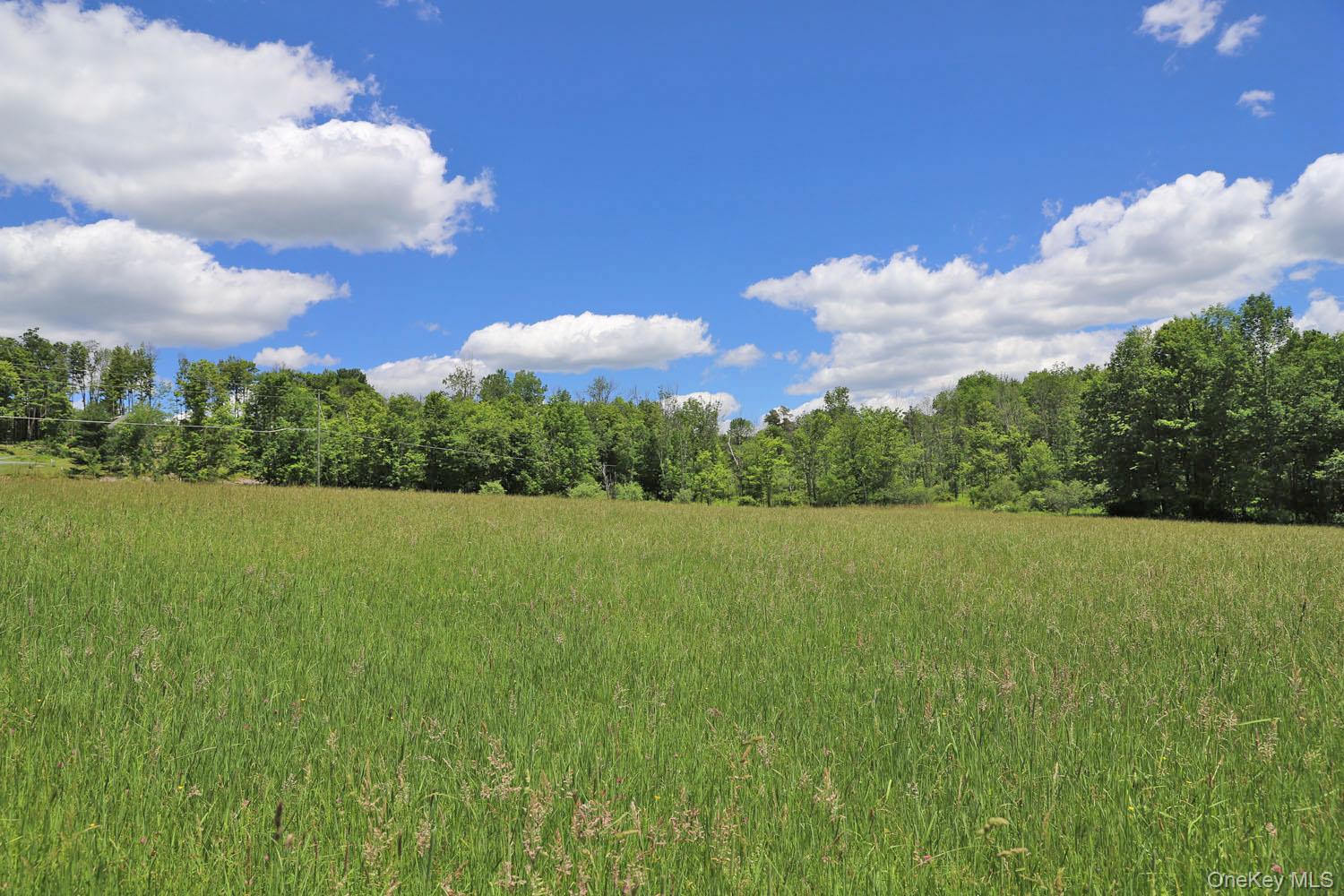 Dietz Road Property Photo 18