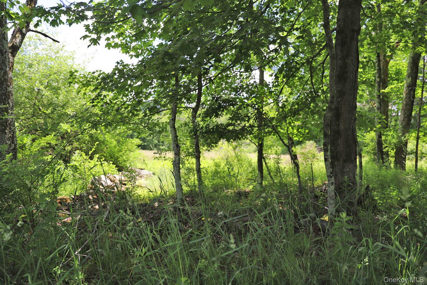 Dietz Road Property Photo 19