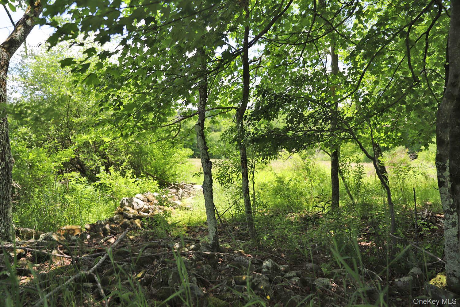 Dietz Road Property Photo 20