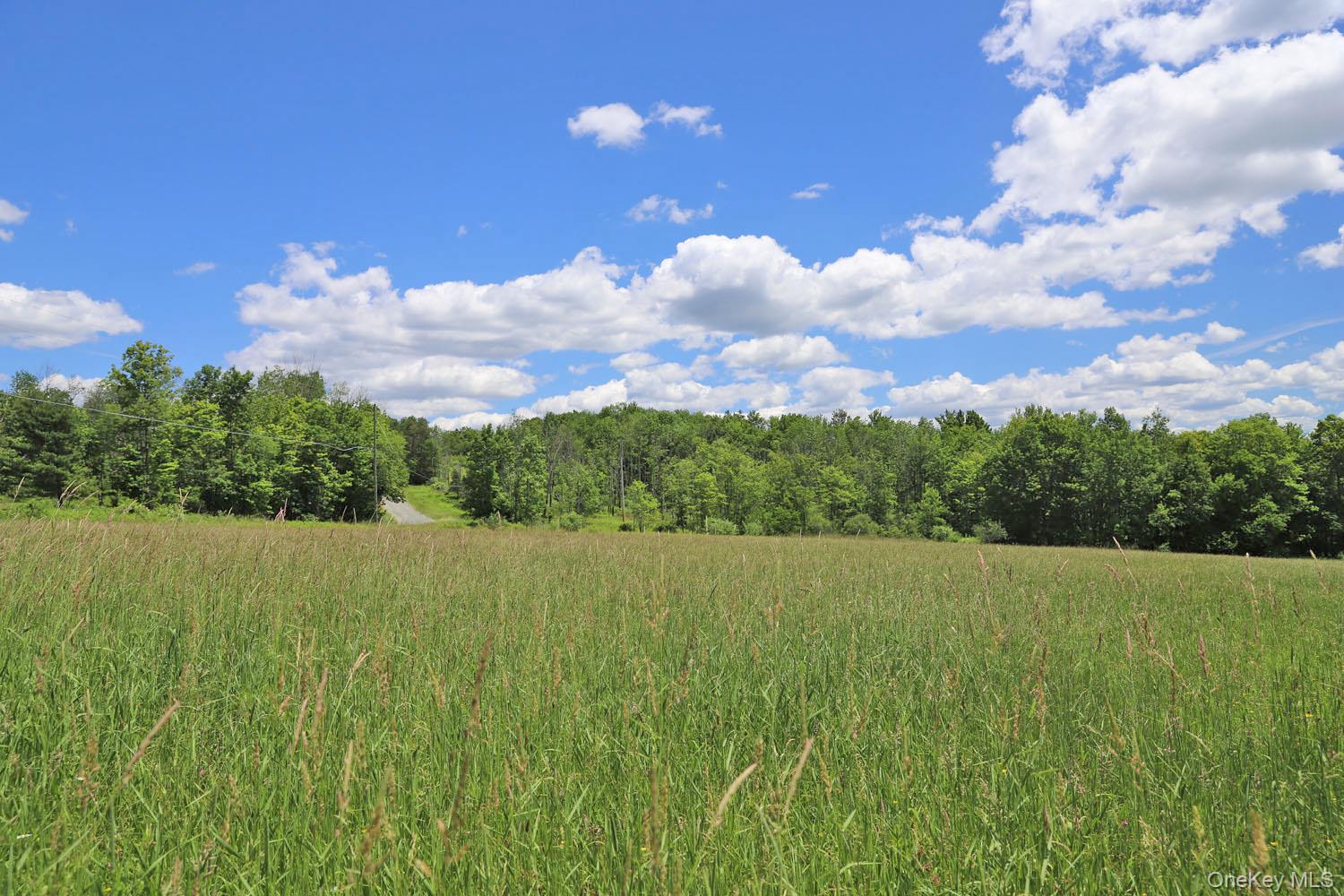 Dietz Road Property Photo 23