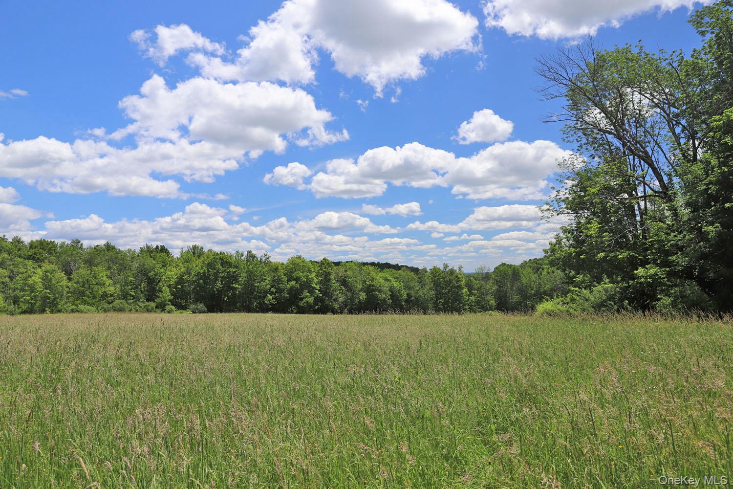 Dietz Road Property Photo 24