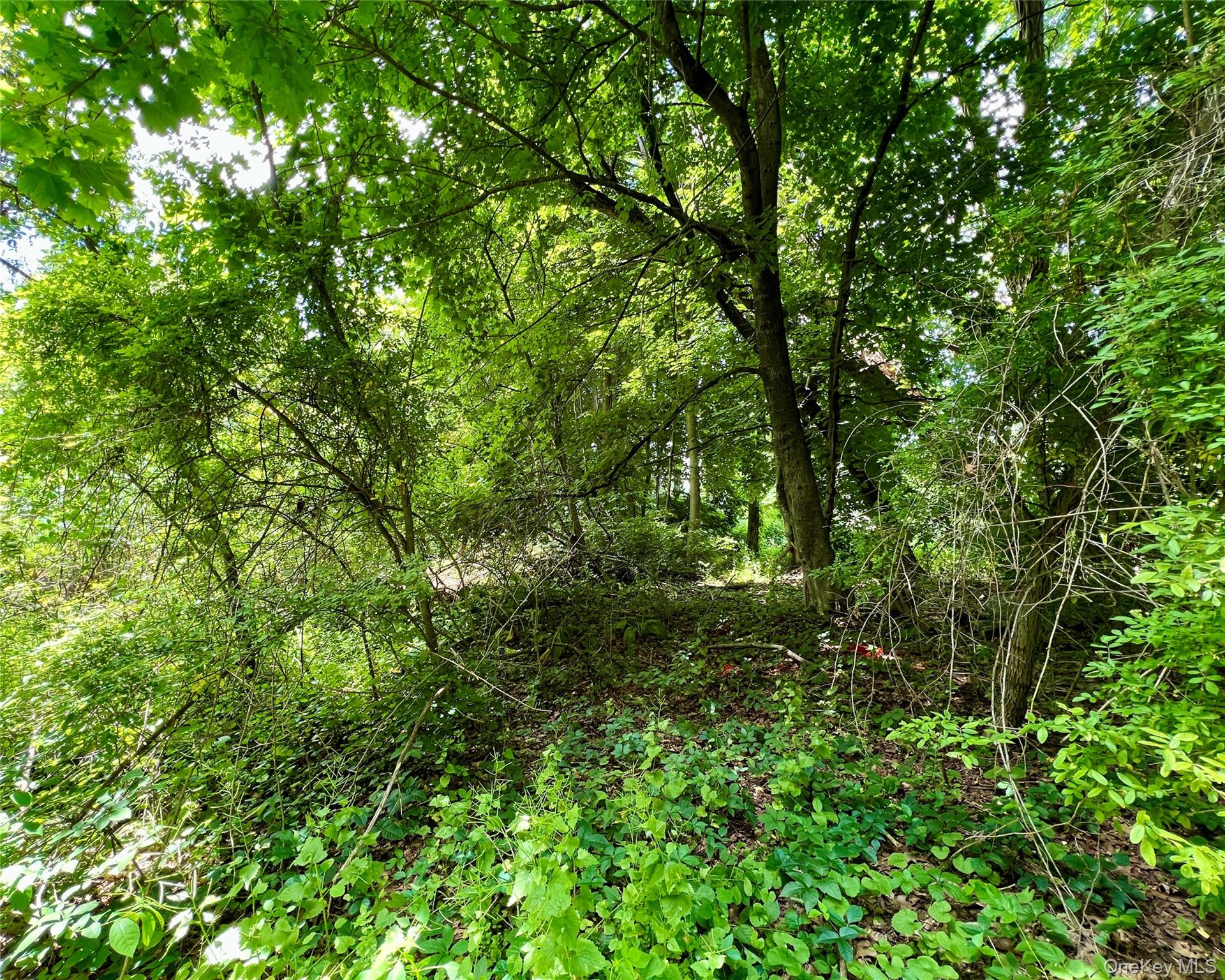 00 Baldwin Place Road Property Photo 4