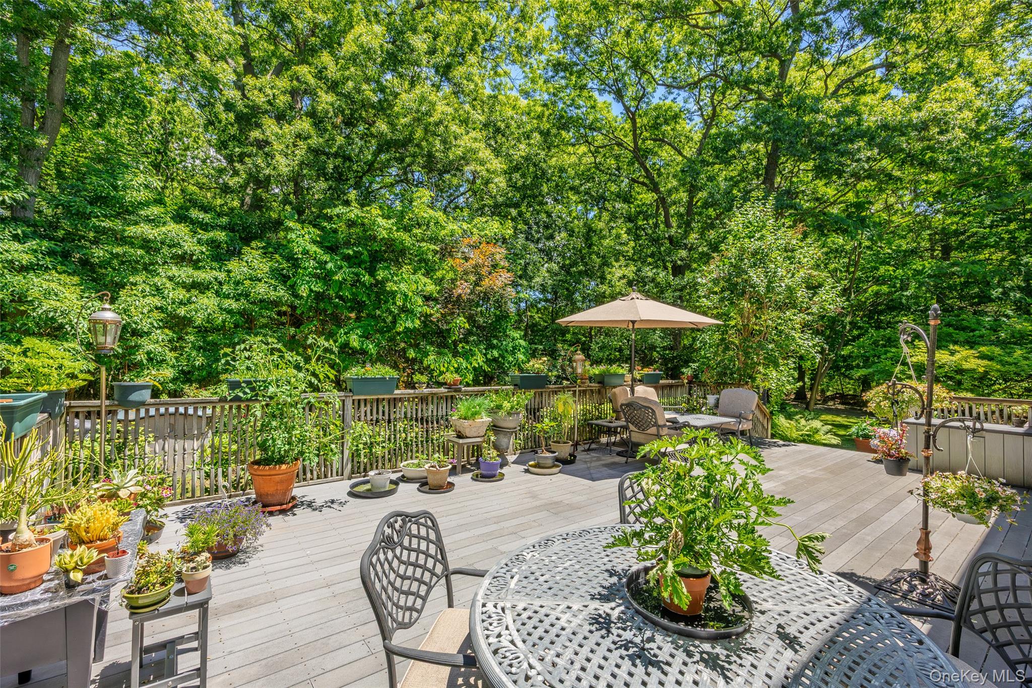 67 Oak Street Property Photo 30