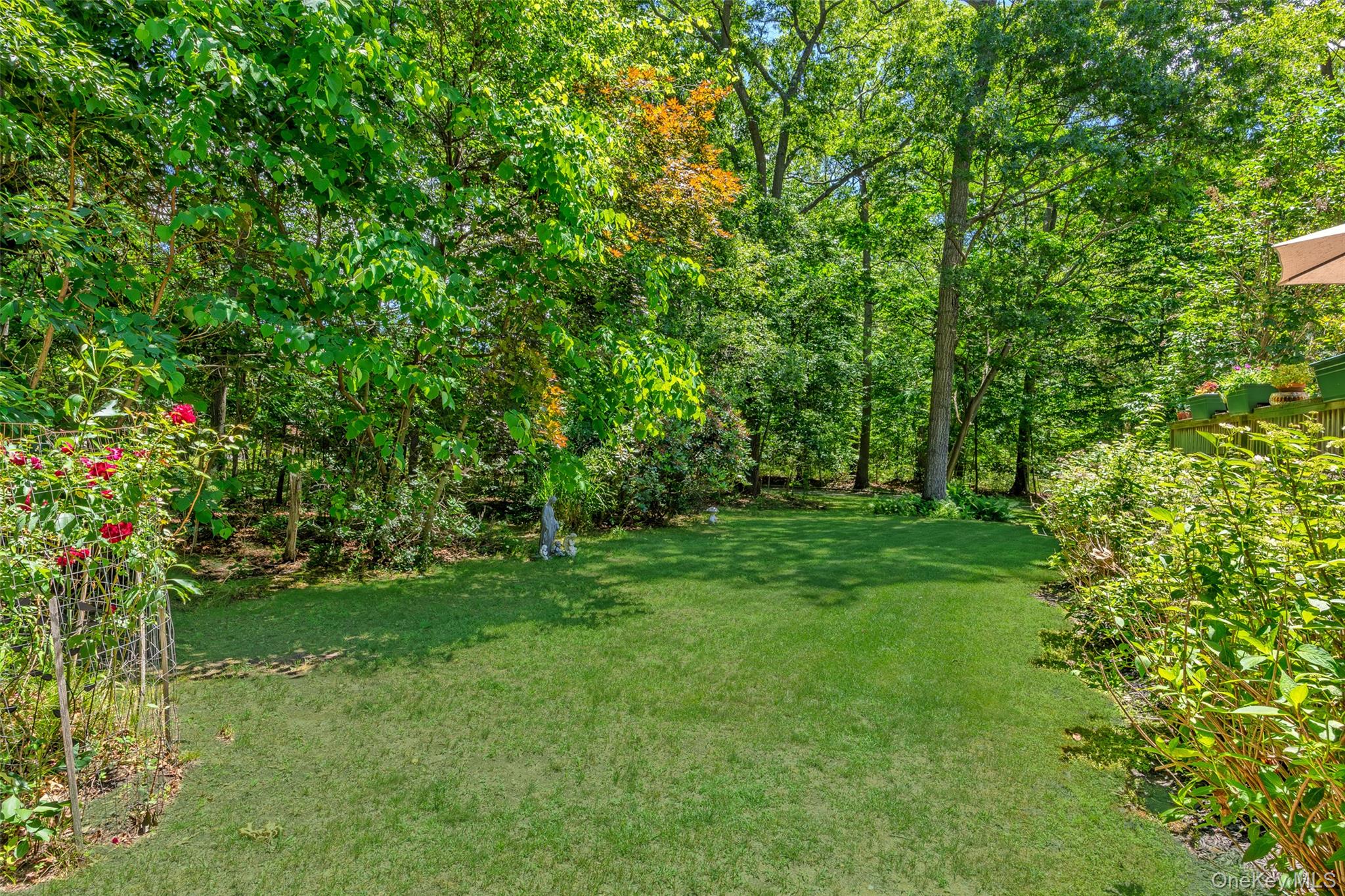 67 Oak Street Property Photo 35