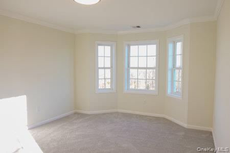 5 James Place (lot 3) Property Photo 11