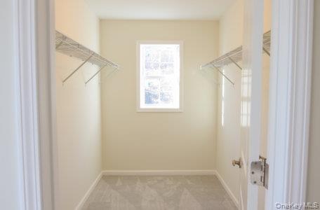 5 James Place (lot 3) Property Photo 13
