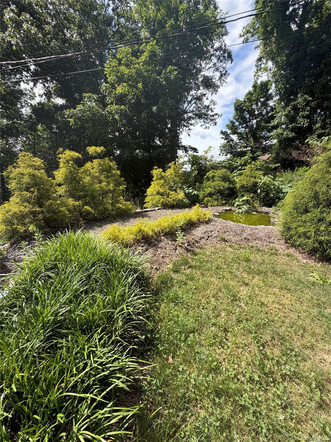 6 Deer Trail Property Photo 14